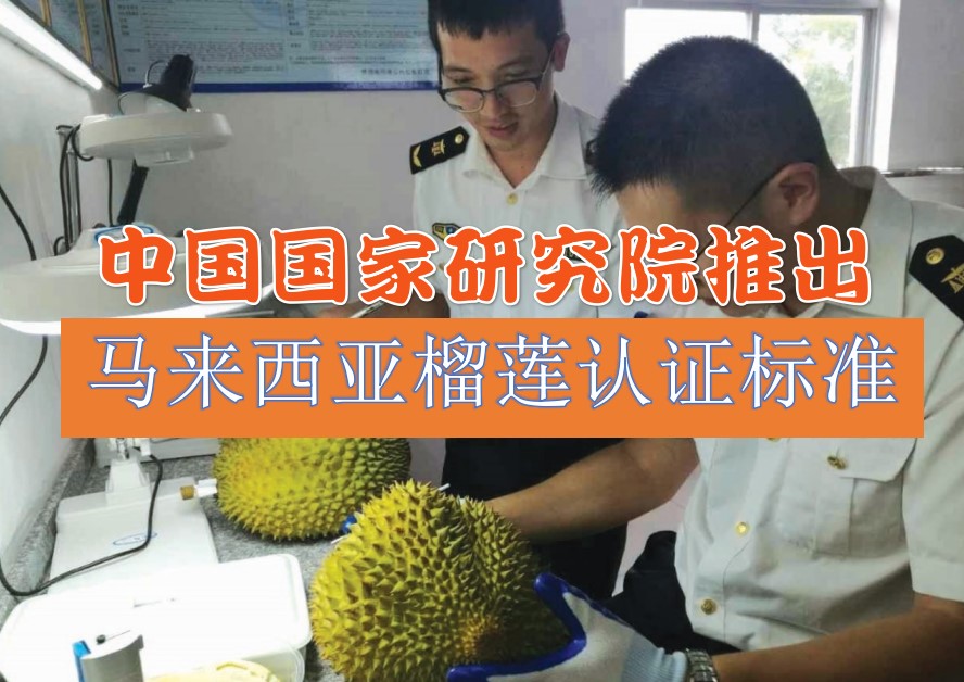 中国国家研究院推出马来西亚榴莲认证标准 - 农牧世界