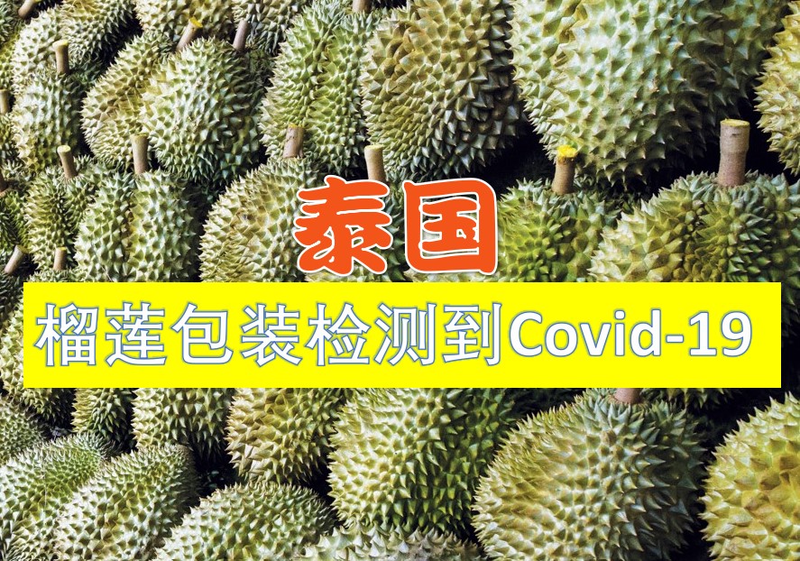 在来自泰国的榴莲包装上检测到 Covid-19 病毒 - 农牧世界