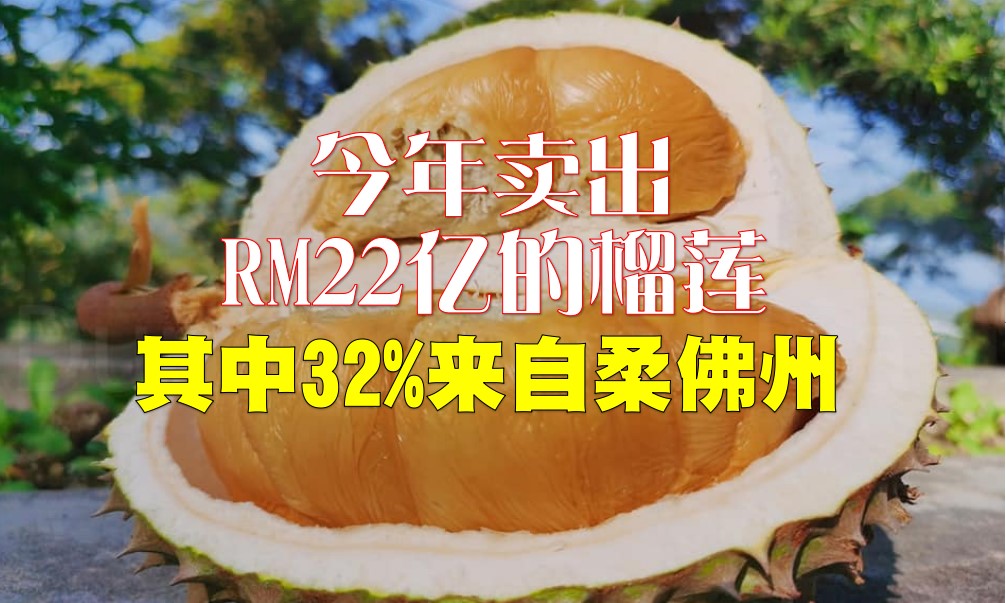 今年价值超过 22 亿令吉的榴莲，其中 32% 的水果来自柔佛 - 农牧世界