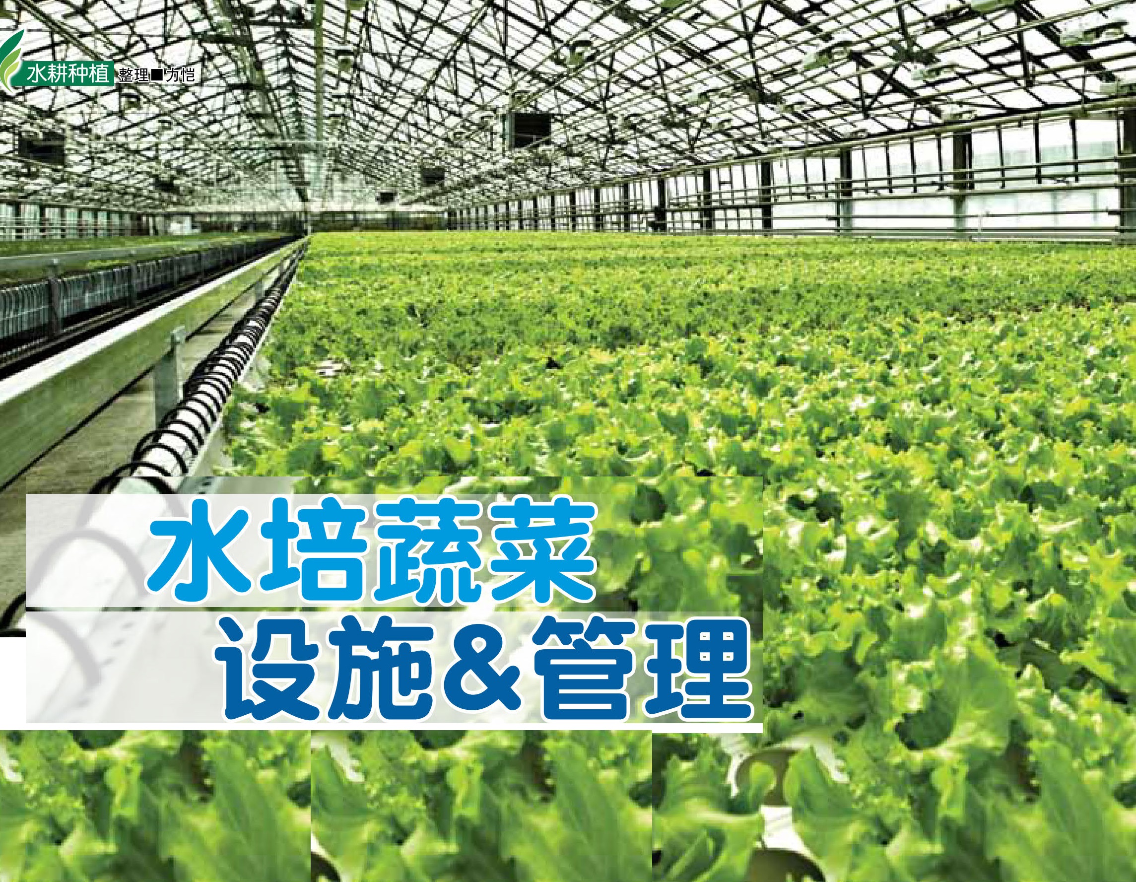 水培蔬菜 设施&管理 - 农牧世界