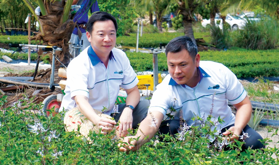 企业公司打造千亩基地 精准农耕永续生产草药 - 农牧世界