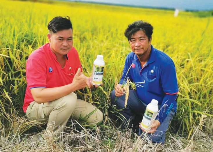适当加施植物营养素  水稻质量皆获提升 - 农牧世界