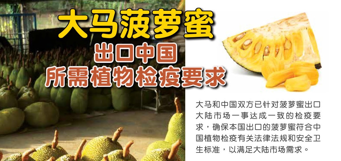 大马菠萝蜜出口中国所需植物检疫要求 - 农牧世界