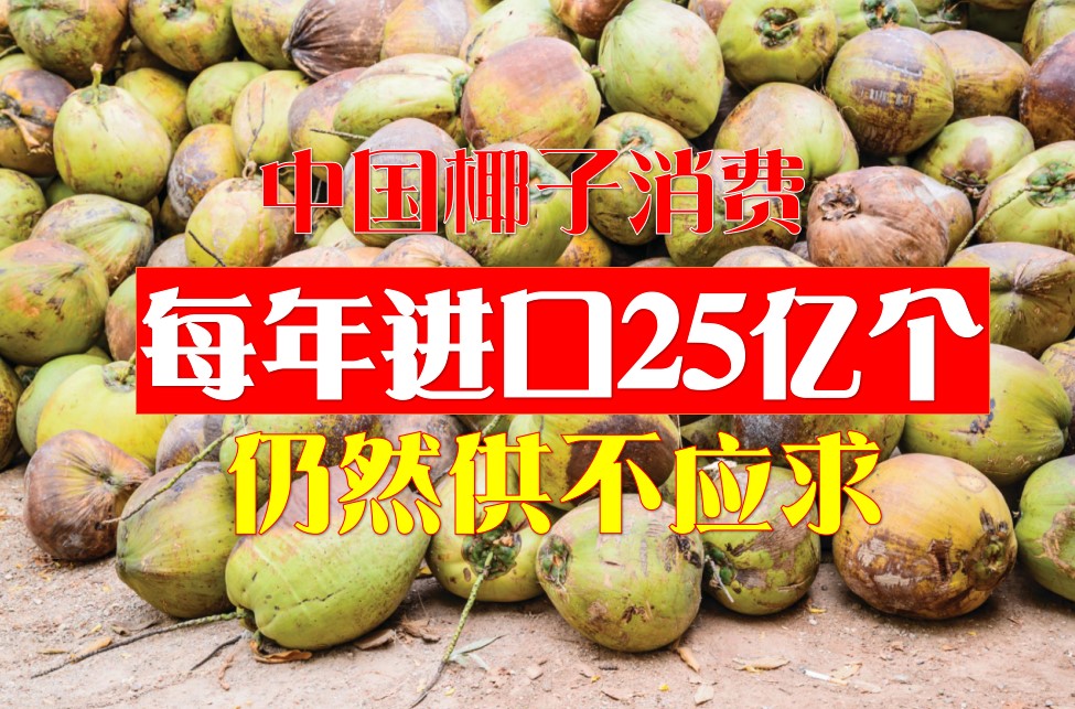 中国椰子消费逐年上升 每年进口25亿个仍然供不应求 - 农牧世界