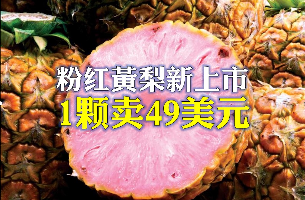 粉红黄梨新上市 1颗卖49美元 - 农牧世界