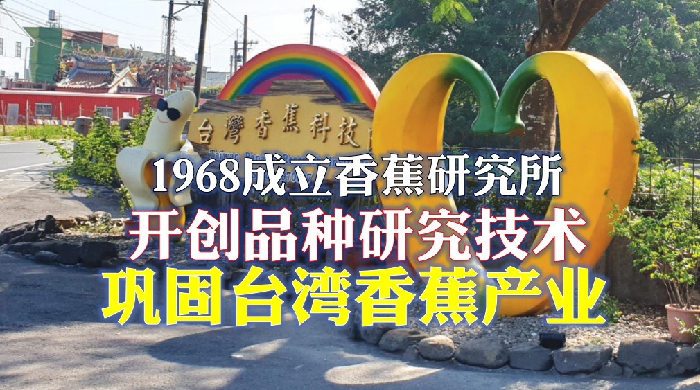 香蕉传奇 催生台湾香蕉研究所 - 农牧世界