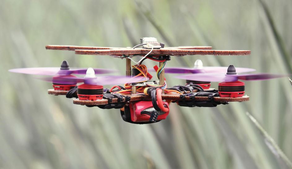 博大研究团队 成功利用黄梨叶片纤维 制造无人机 - 农牧世界