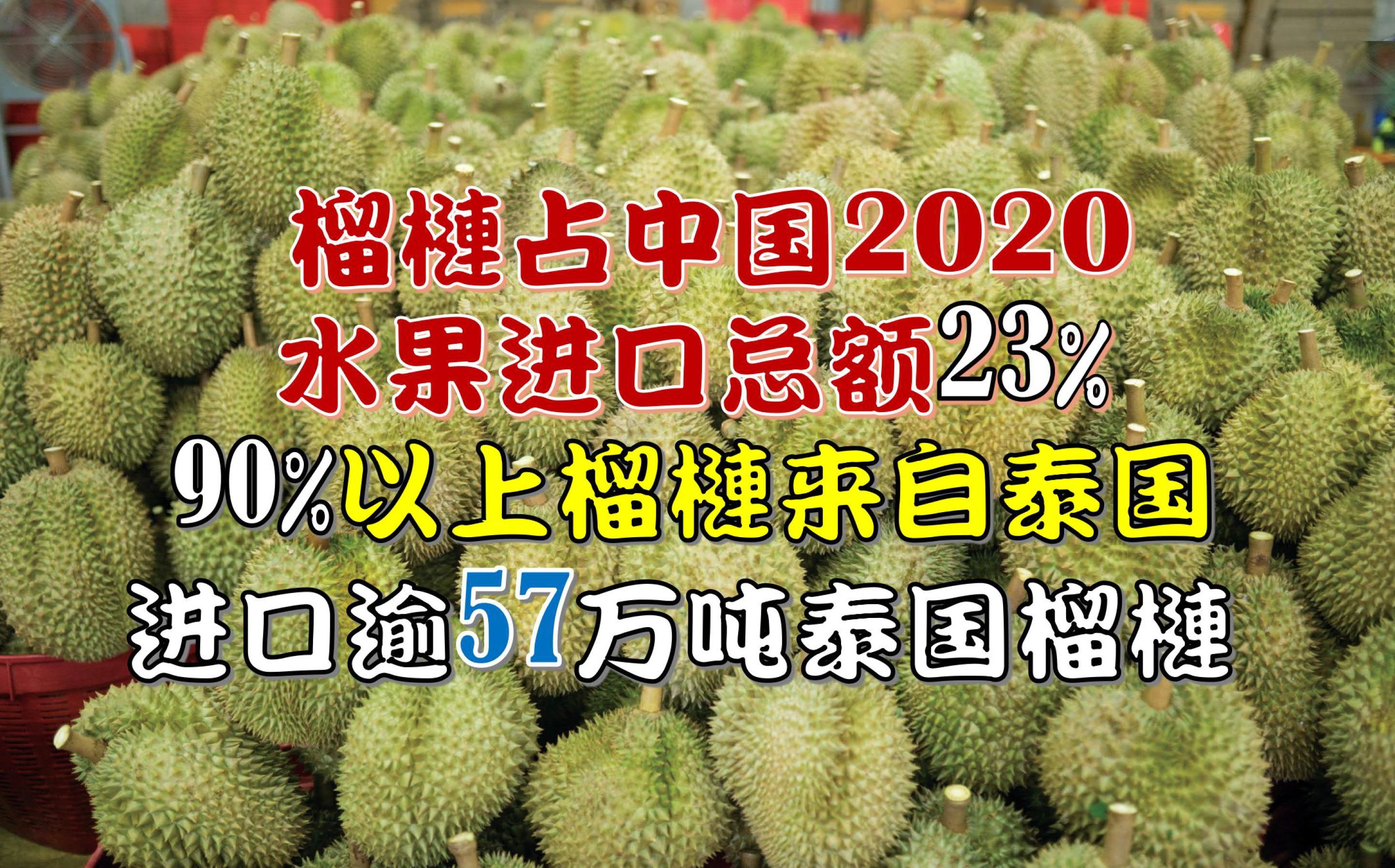 中国2020年 进口逾57万吨泰国榴梿 - 农牧世界