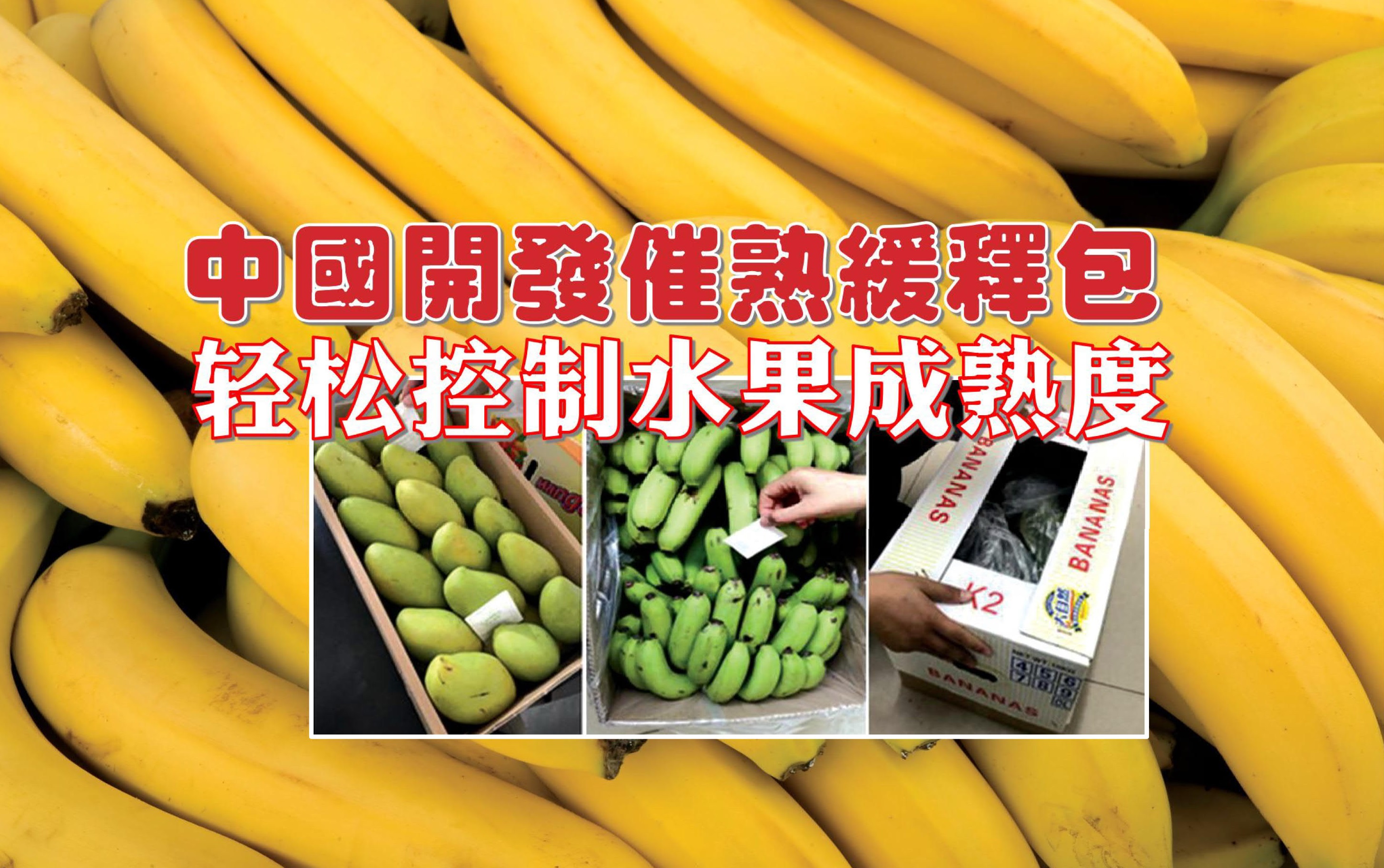 中国开发催熟缓释包 轻松控制水果成熟度 - 农牧世界