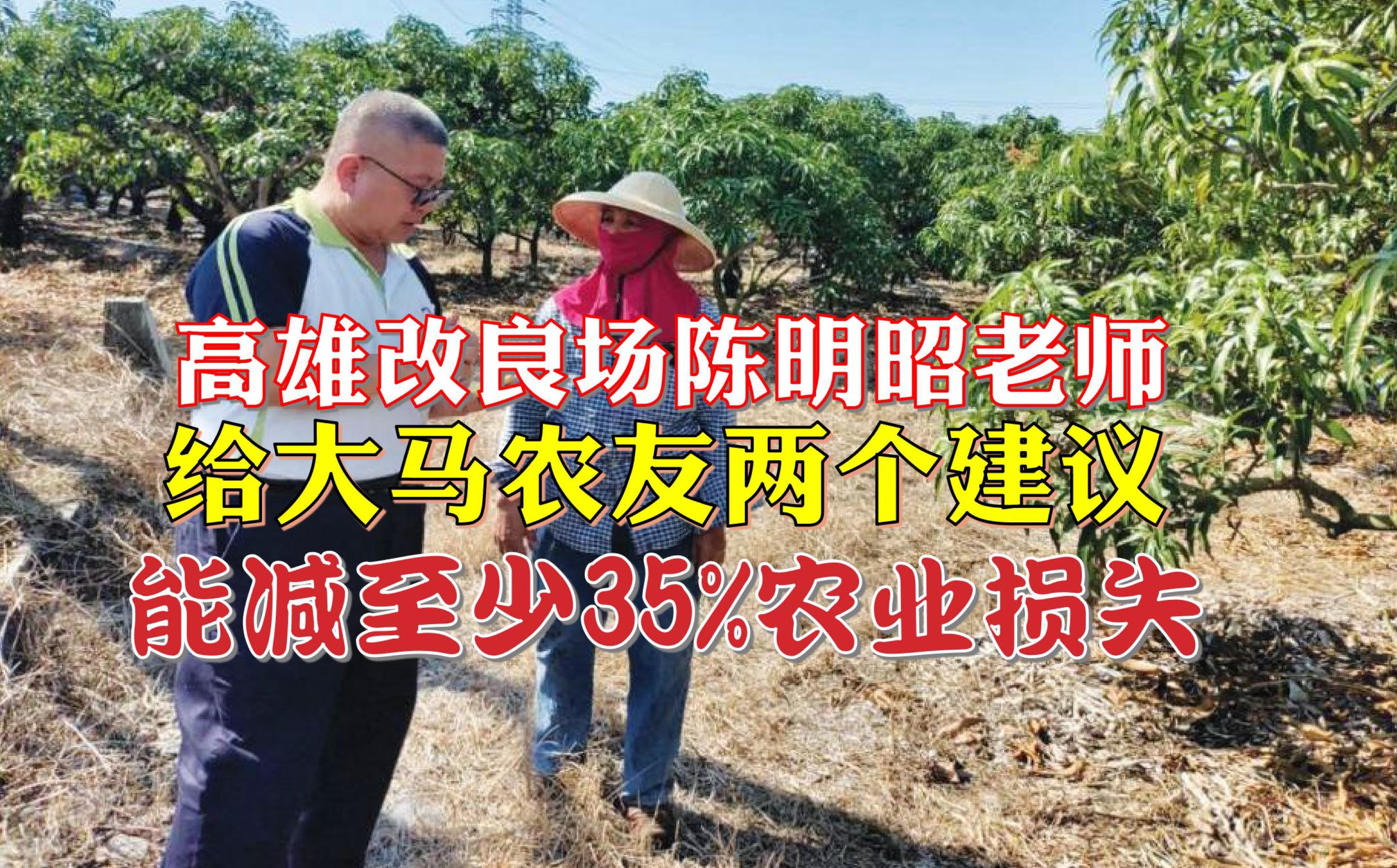 南台湾植保战将 给大马农友的两个建议 - 农牧世界