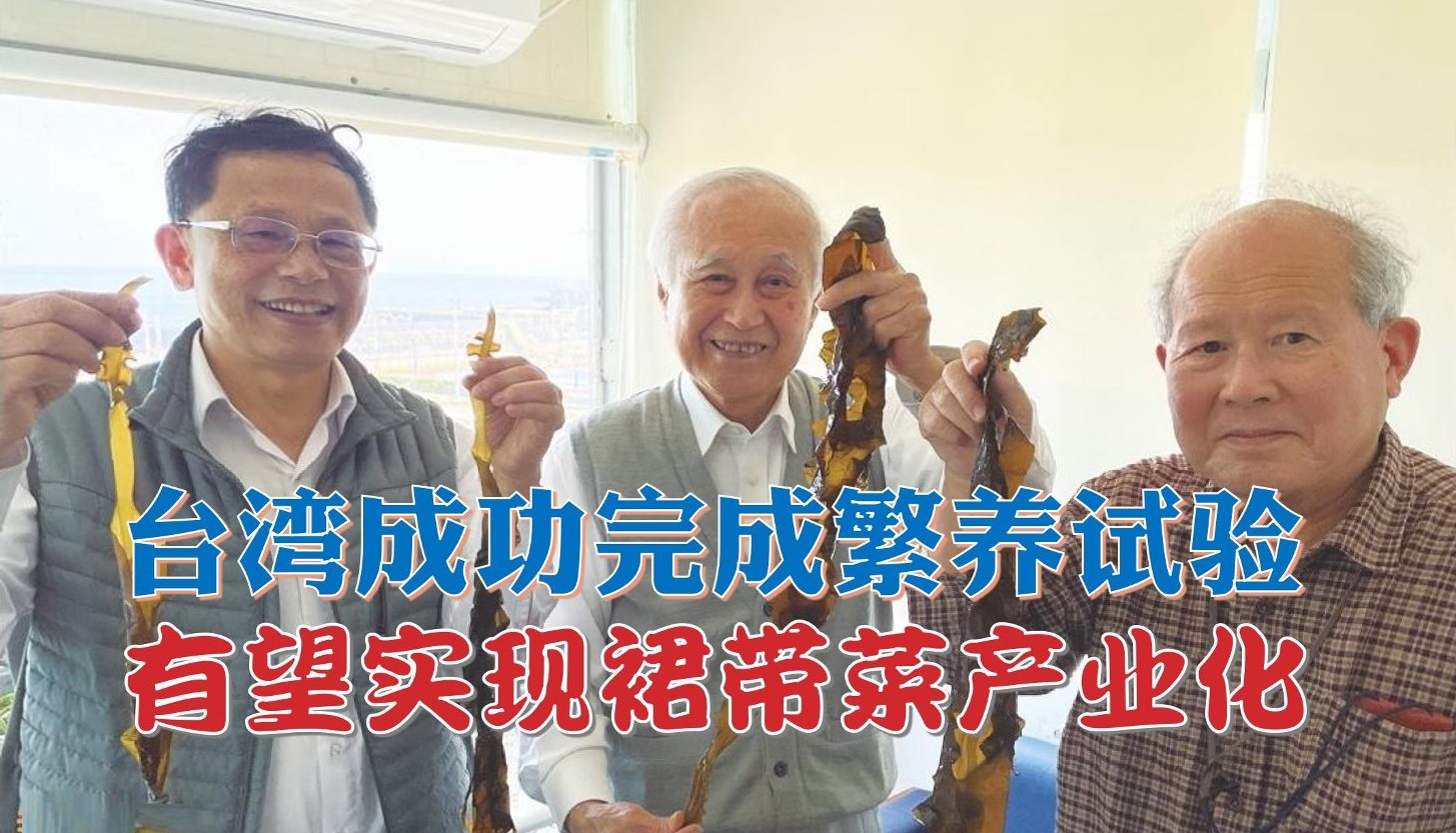 台湾成功完成繁养试验 有望实现裙带菜产业化 - 农牧世界