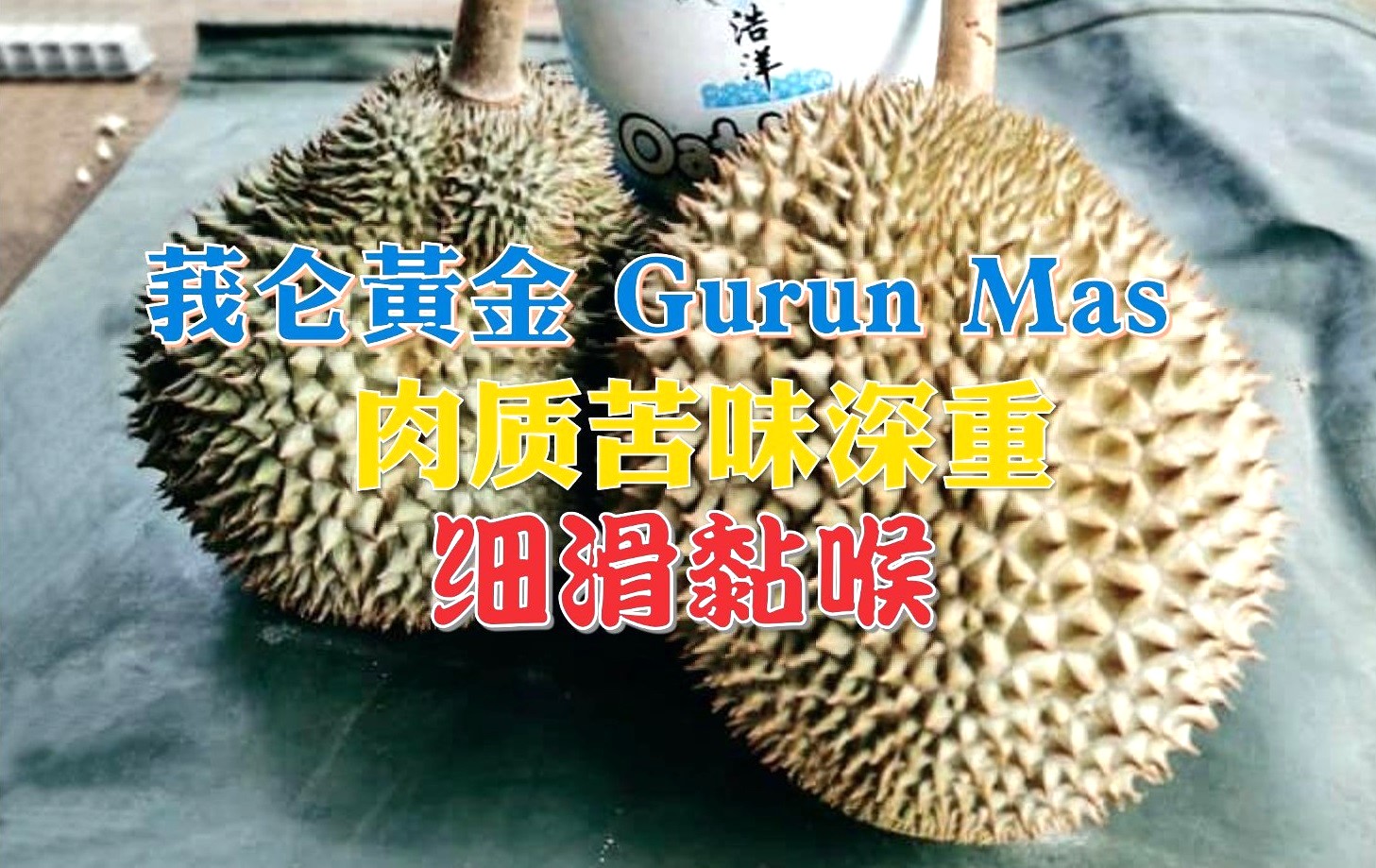 莪仑黄金果肉风味独特 园主申请注册为名种榴梿 - 农牧世界