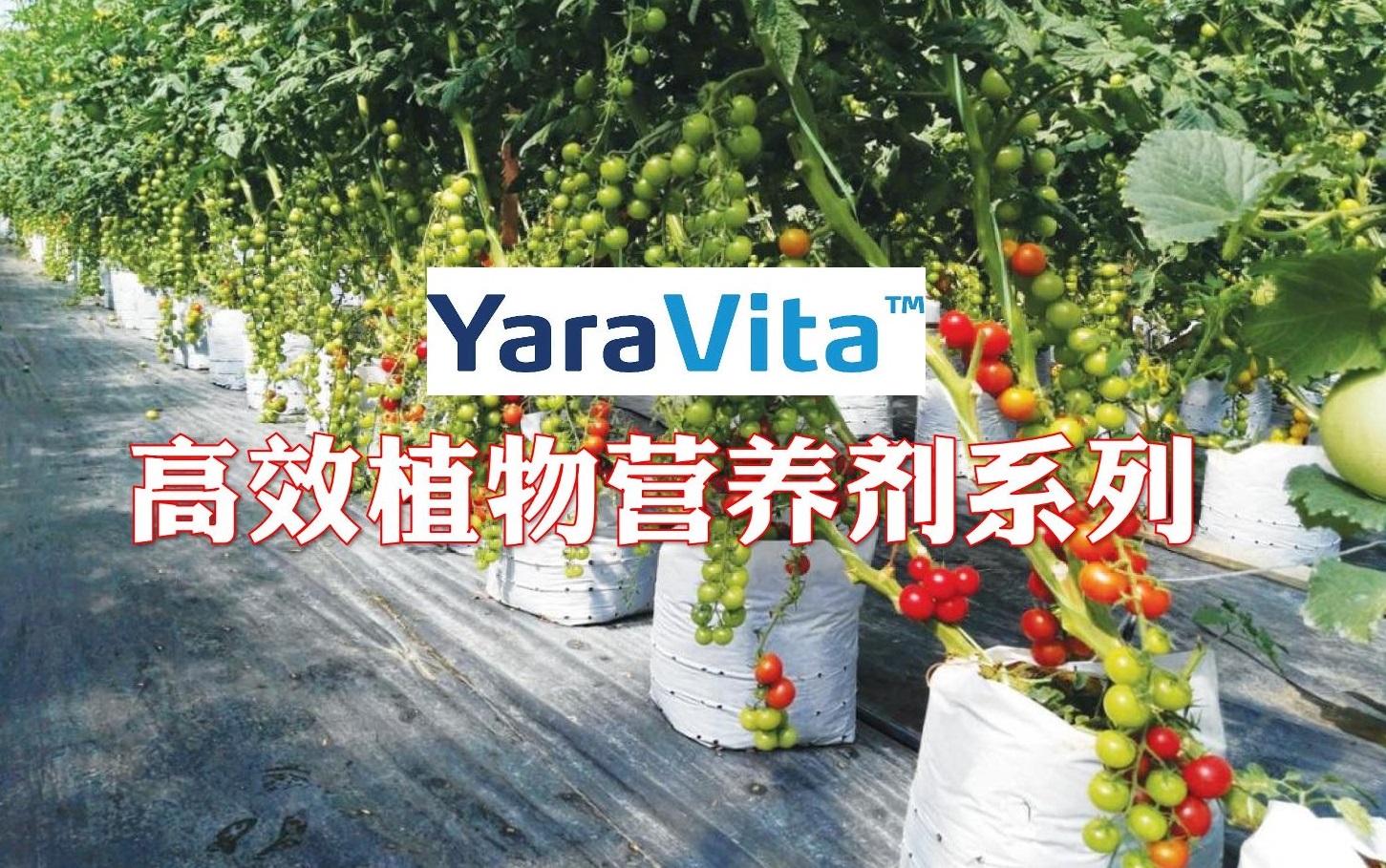 YaraVita高效植物营养剂系列 - 农牧世界