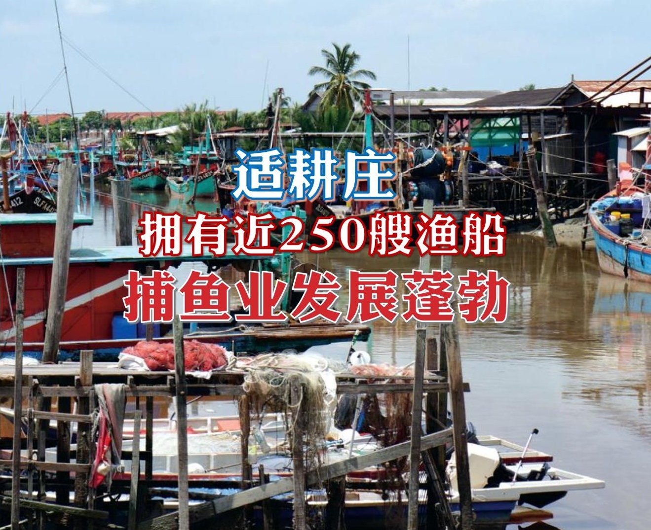 拥有近250艘渔船 适耕庄捕鱼业发展蓬勃 - 农牧世界