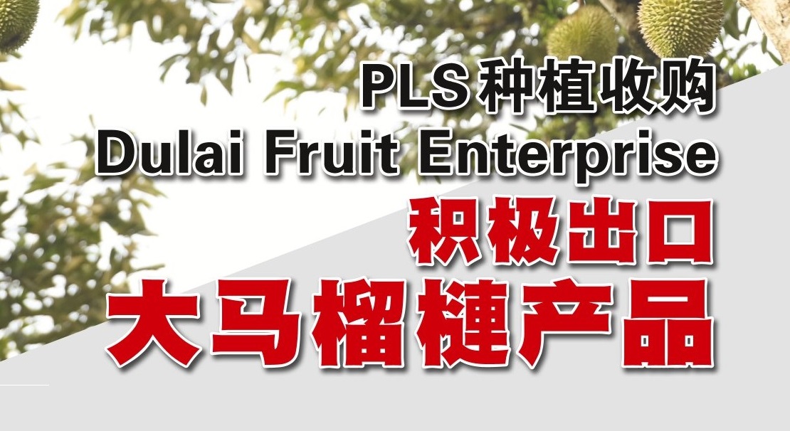 PLS种植收购Dulai Fruit Enterprise  积极出口大马榴梿产品 - 农牧世界