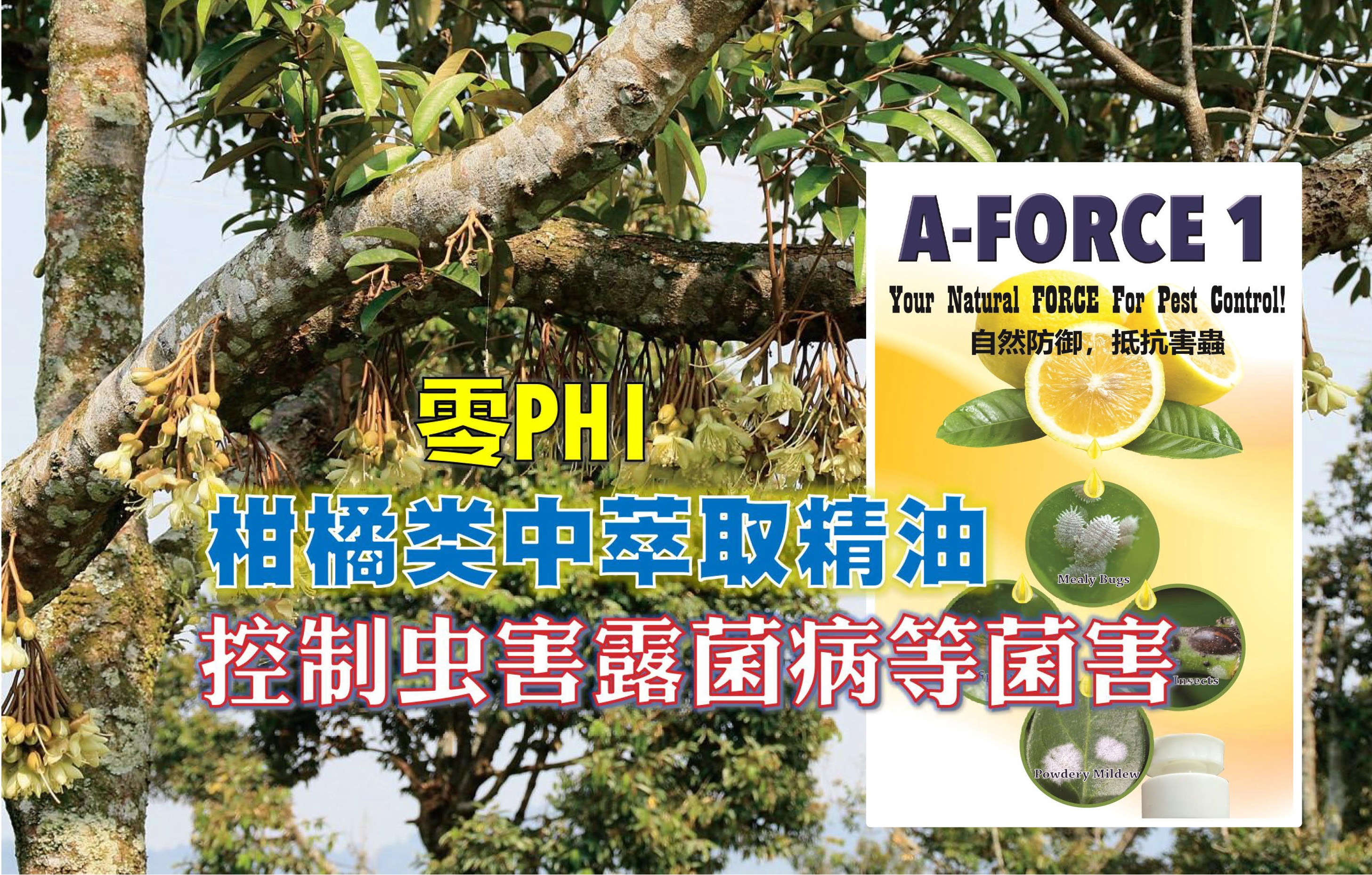 零PHI  植物萃取精油 喷洒后也可采收 - 农牧世界