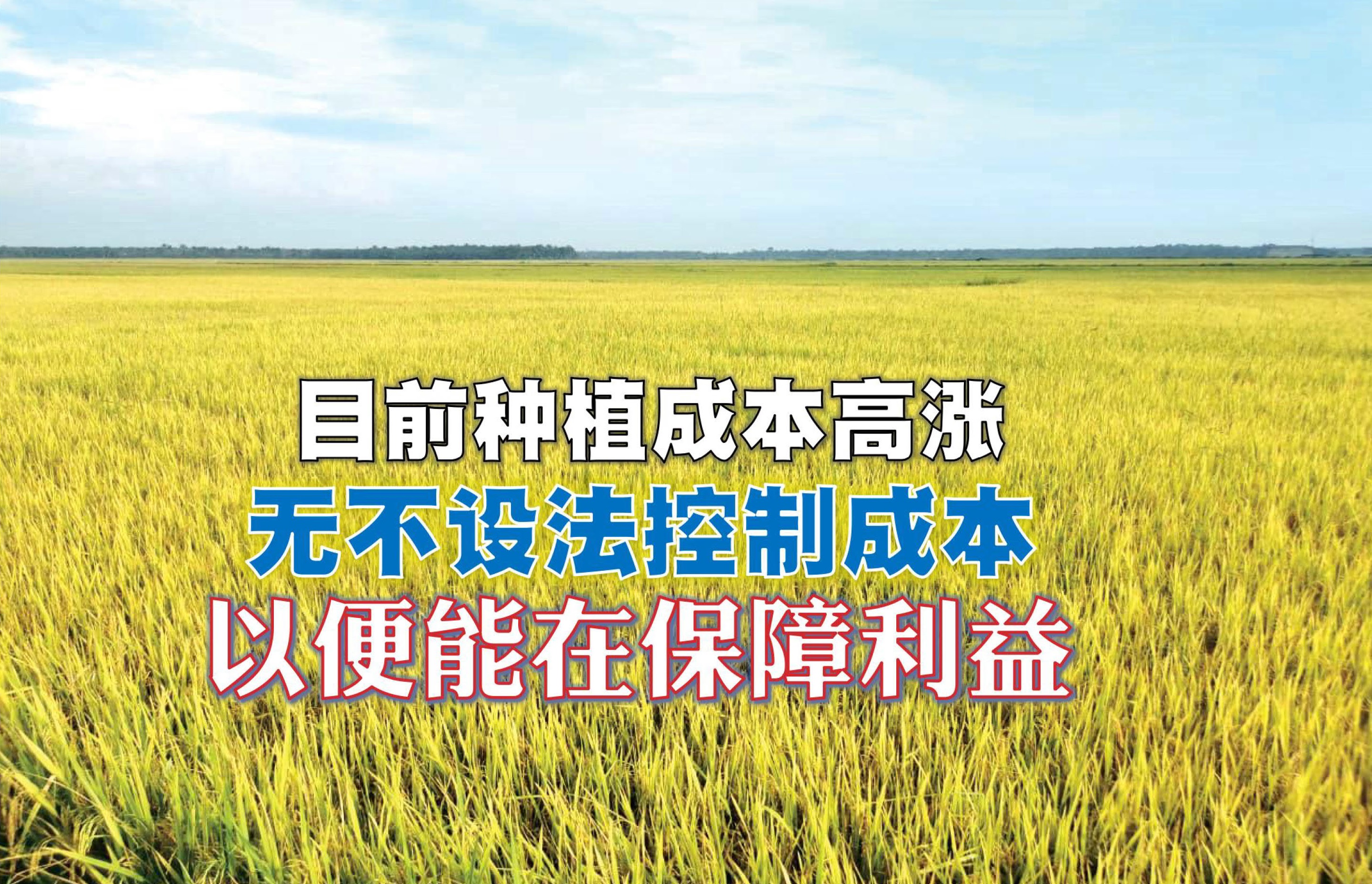 稻农想方设法降低成本 选用优质液肥保障产量 - 农牧世界