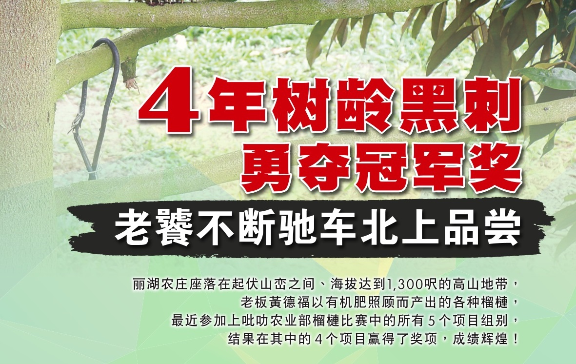 4年树黑刺勇夺冠军奖  老饕不断驰车北上品尝 - 农牧世界