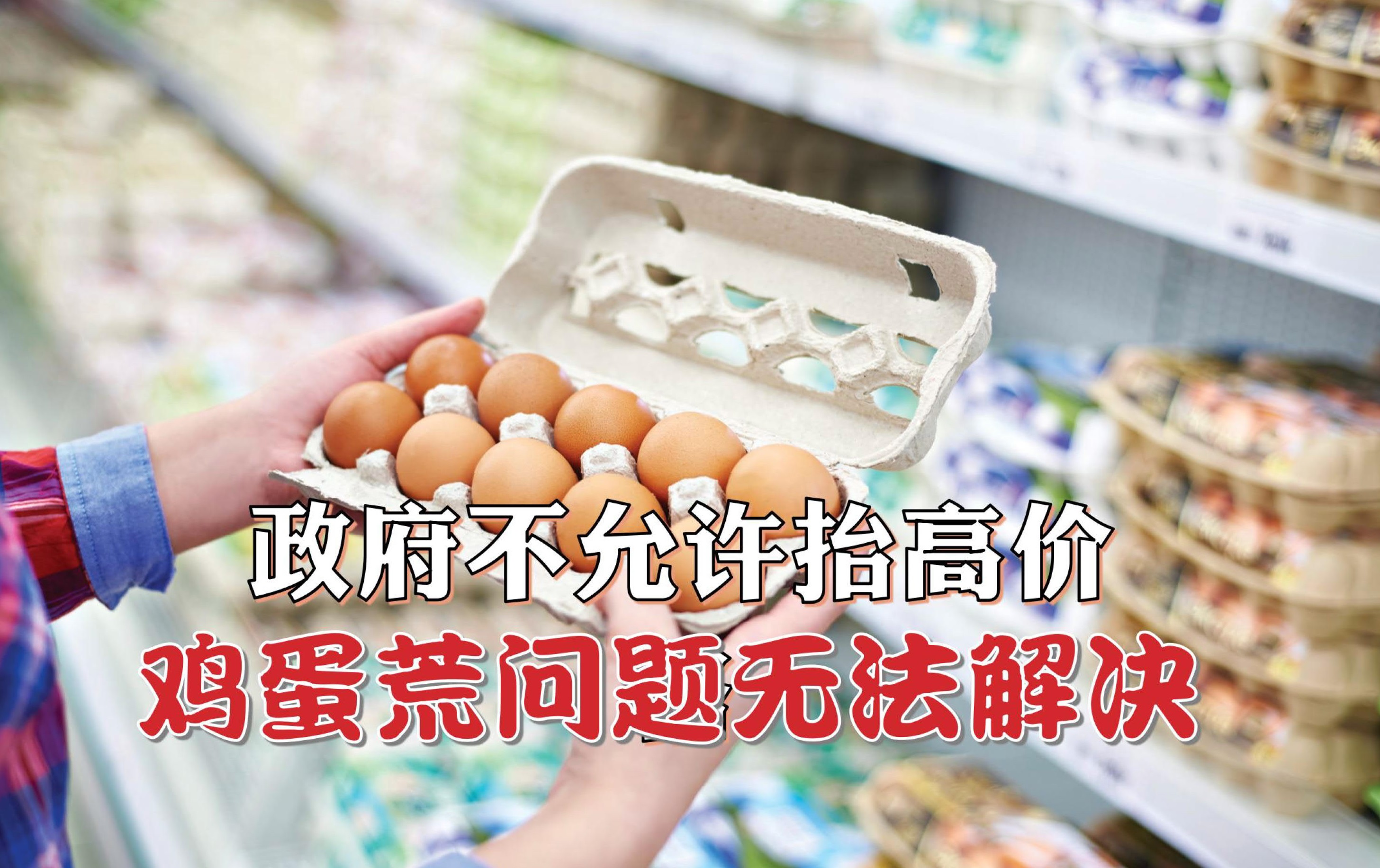 政府不允许抬高价格 鸡蛋荒问题无法解决 - 农牧世界