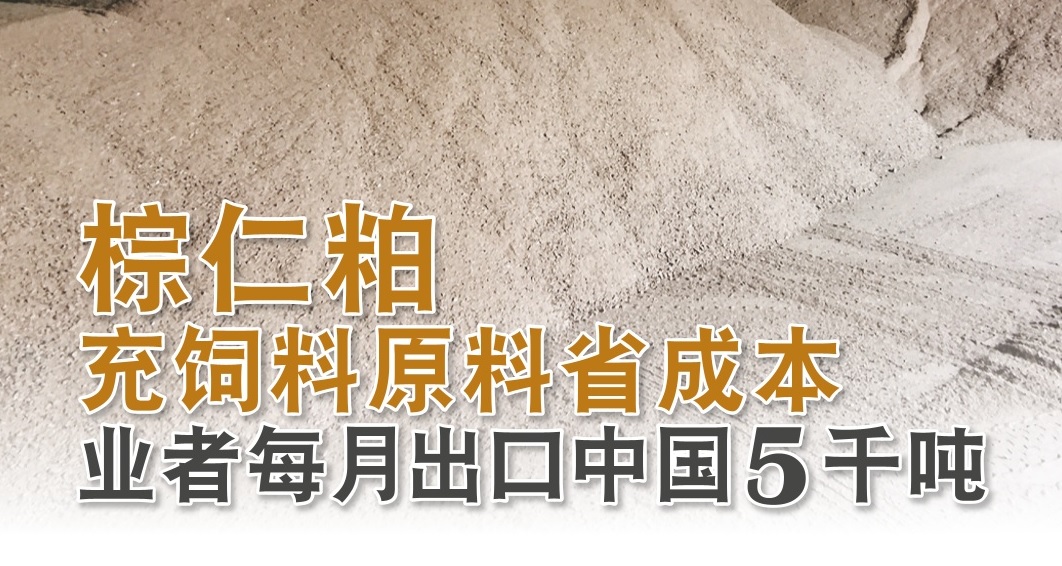 棕仁粕充饲料原料省成本 业者每月出口中国5千吨 - 农牧世界
