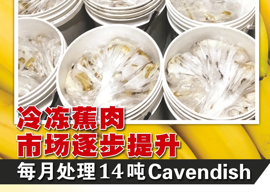 冷冻蕉肉市场逐步提升  每月处理14吨Cavendish - 农牧世界