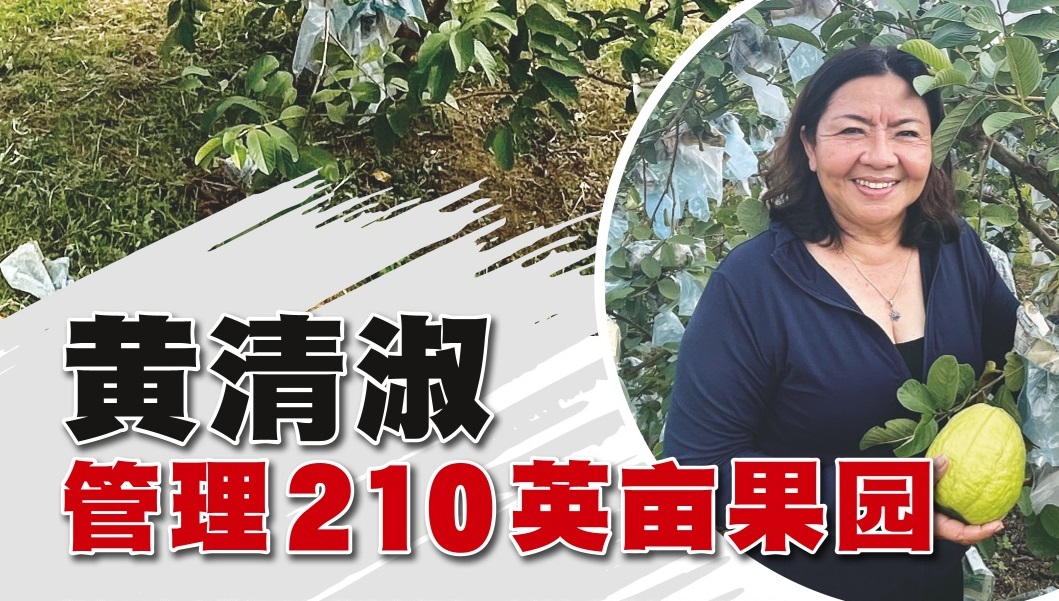 黄清淑管理210英亩果园 - 农牧世界