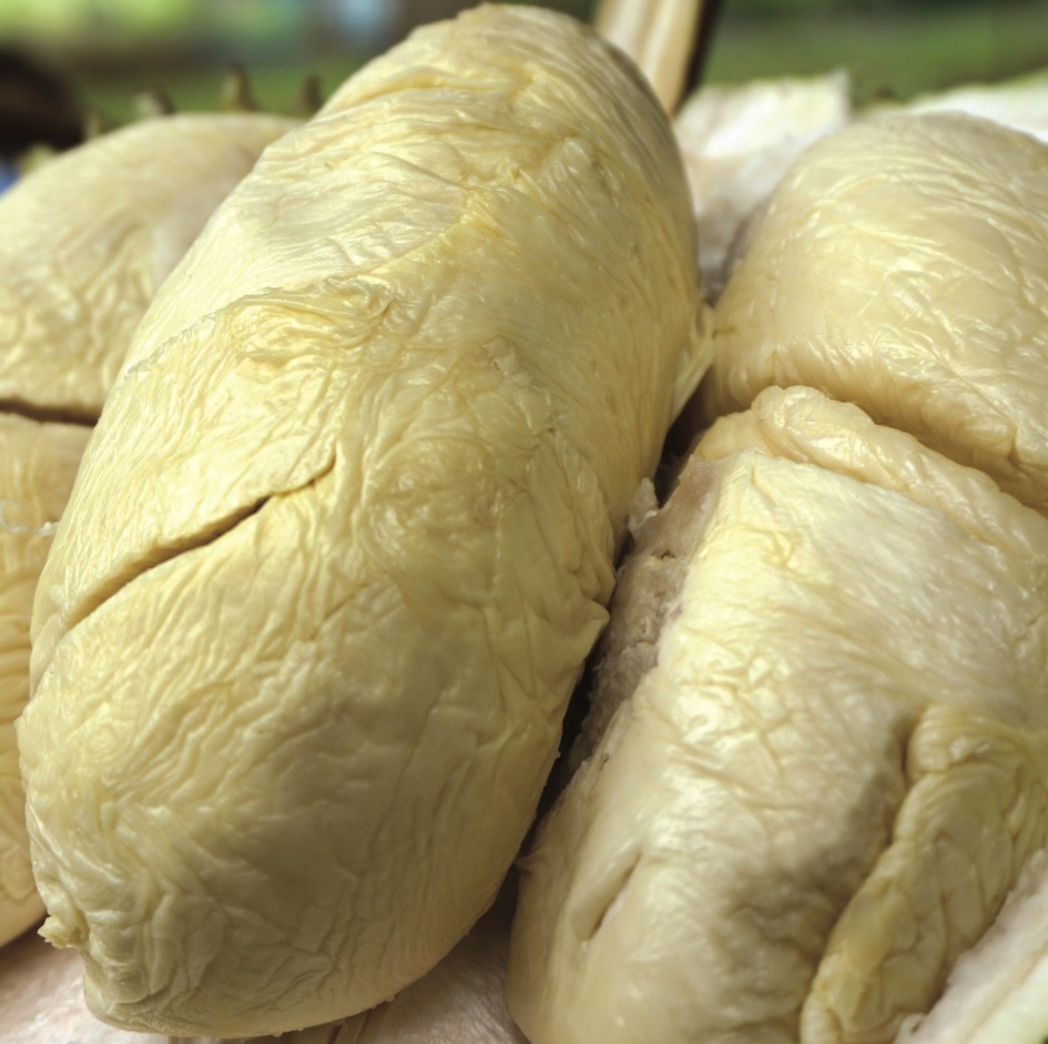 奶王榴梿颗粒大又圆 味苦粘喉肉包多 - 农牧世界