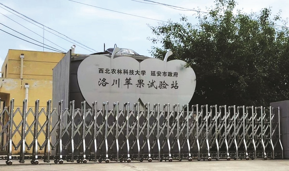 访中国延安果业研发中心  主任陈新宝反思大马榴梿种植业 - 农牧世界