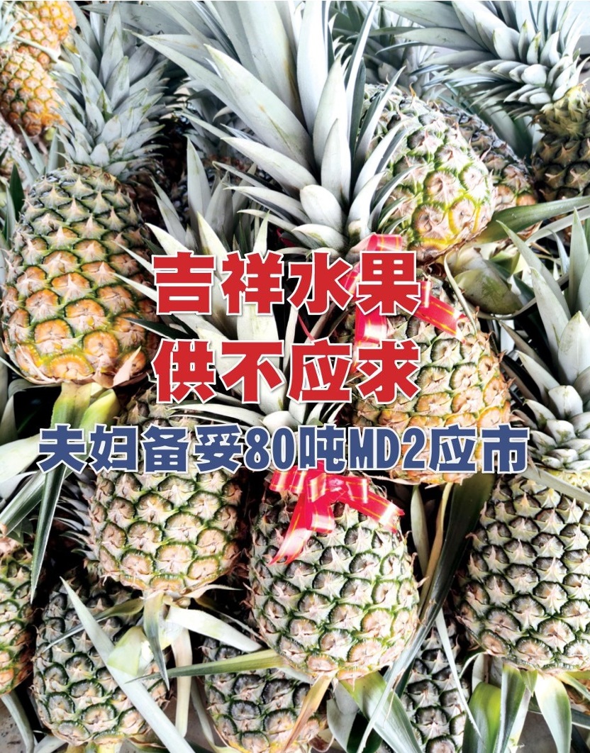 吉祥水果供不应求  夫妇备妥80吨MD2应市 - 农牧世界