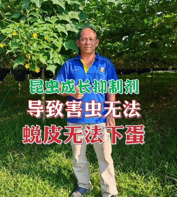 昆虫成长抑制剂  导致害虫无法蜕皮无法下蛋 - 农牧世界