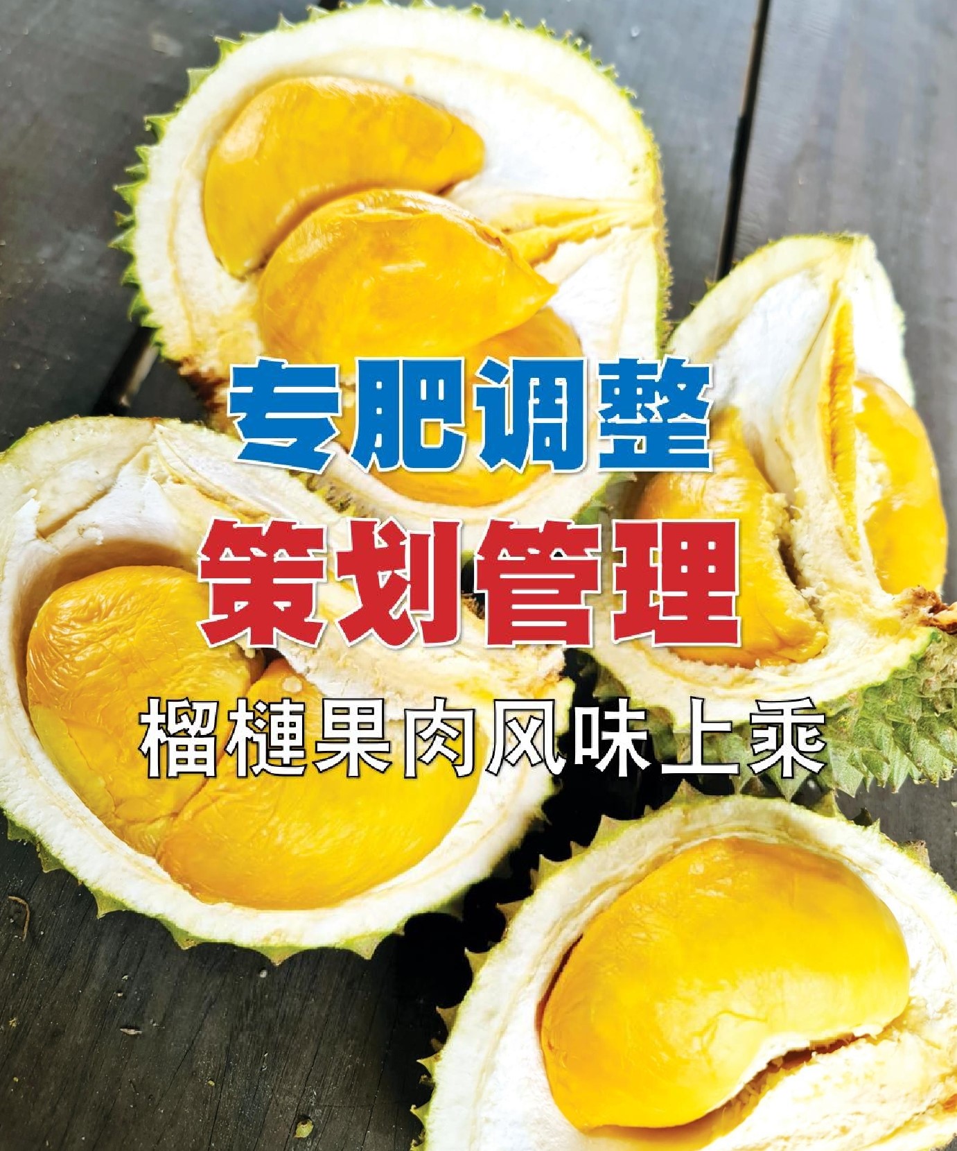 专肥调整＆策划管理  榴梿果肉风味上乘 - 农牧世界