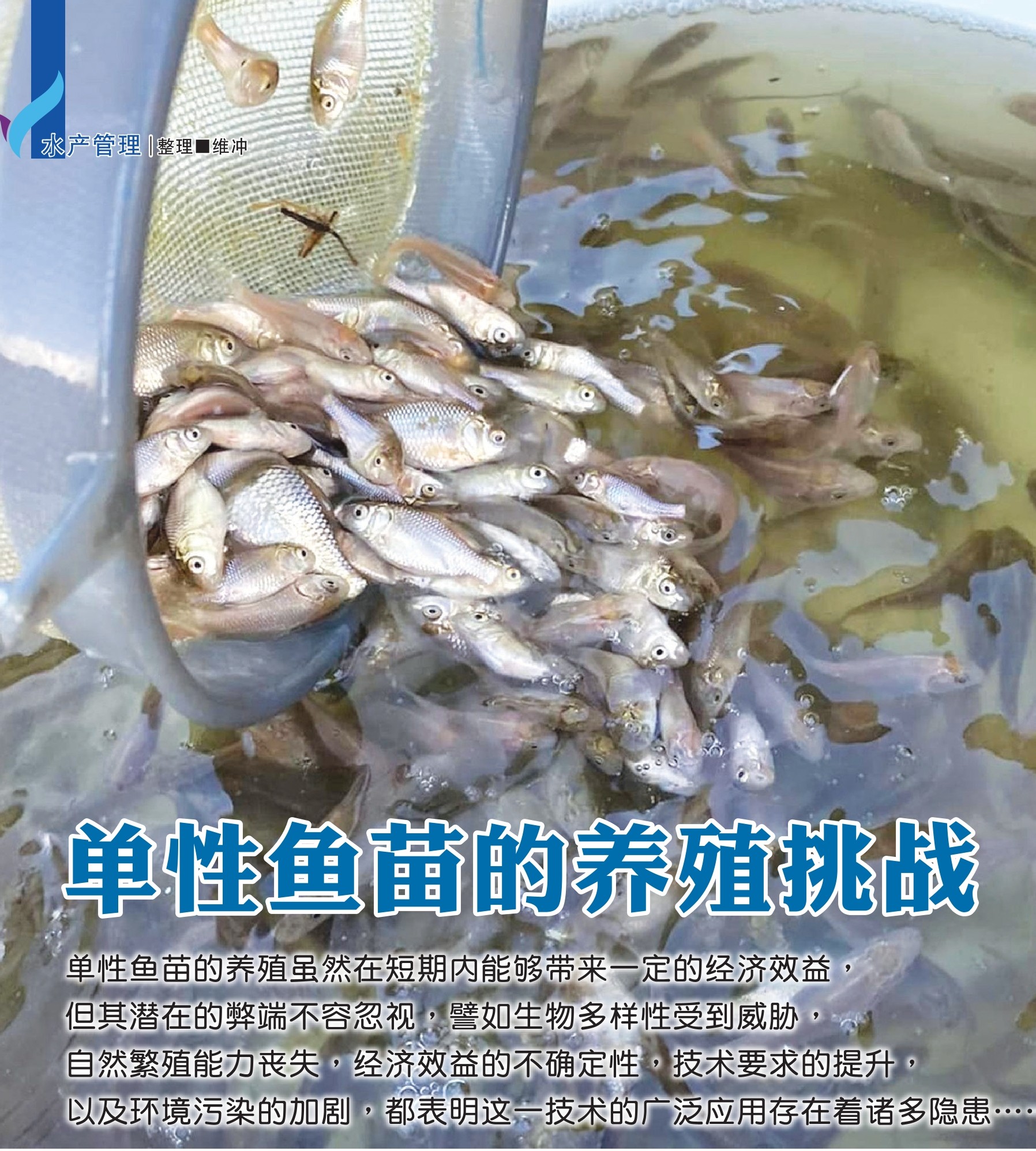 单性鱼苗的养殖挑战 - 农牧世界