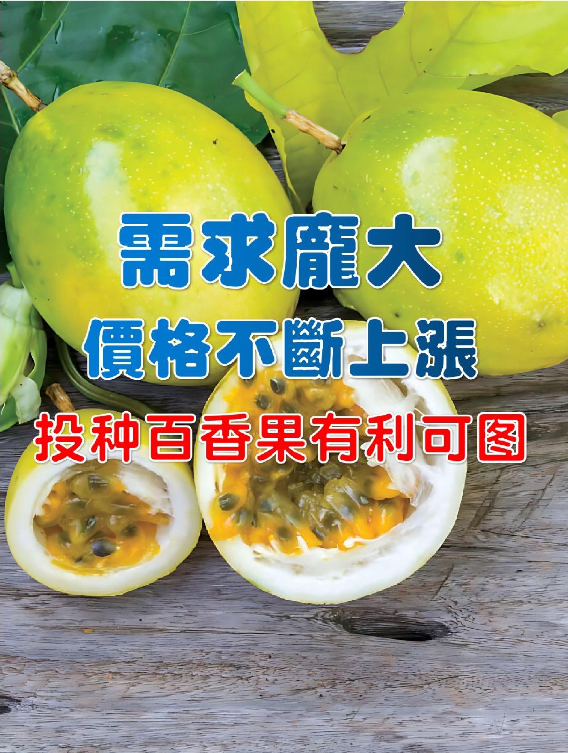 需求庞大价格不断上涨  投种百香果有利可图 - 农牧世界