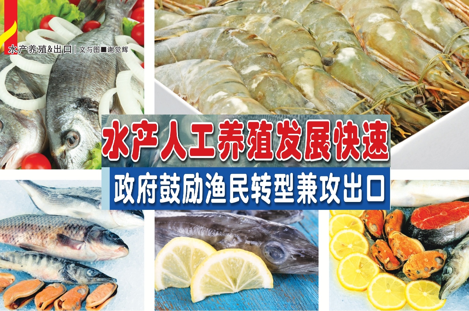 水产人工养殖发展快速  政府鼓励渔民转型兼攻出口 - 农牧世界