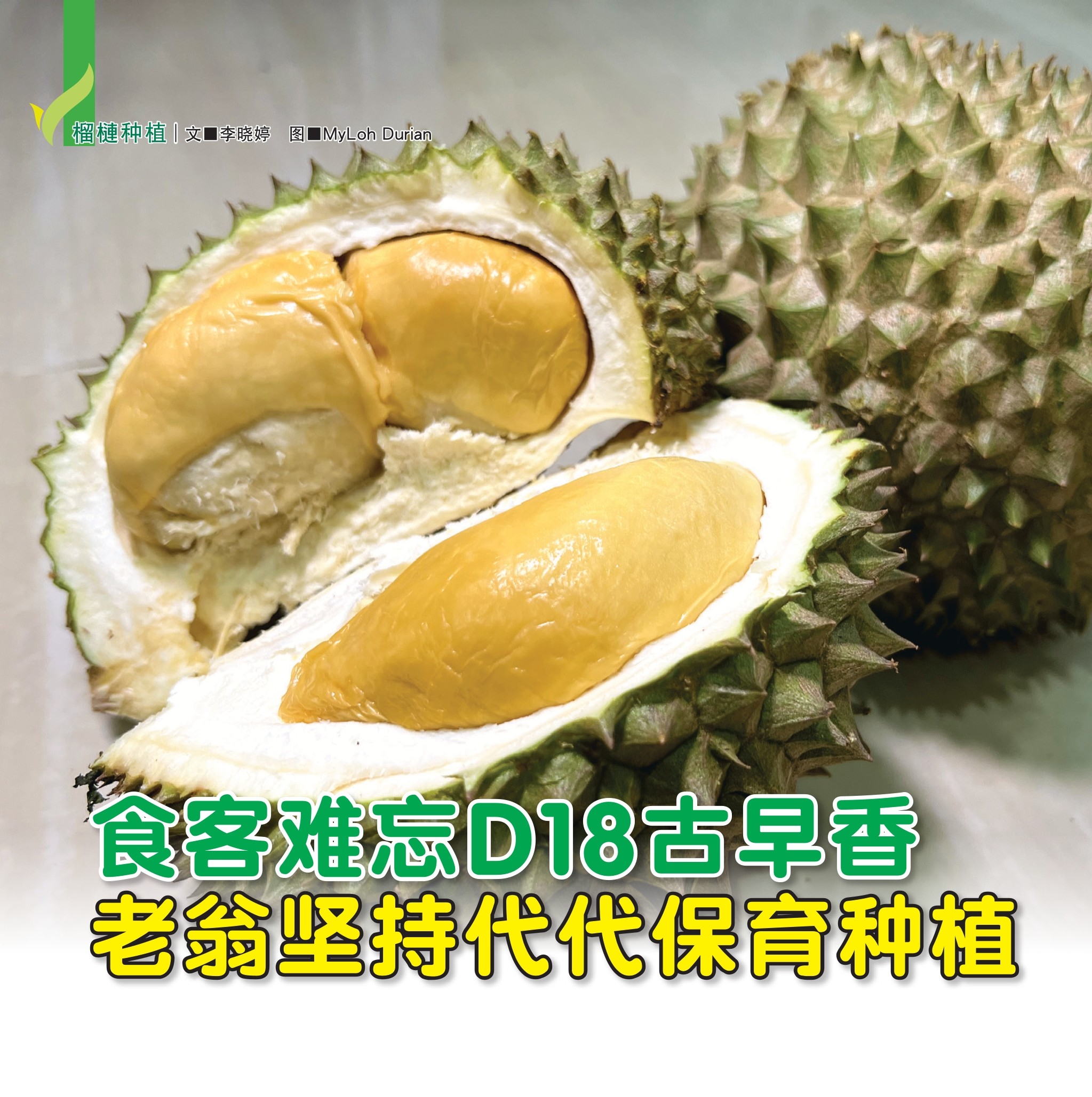食客难忘D18古早香  老翁坚持代代保育种植 - 农牧世界