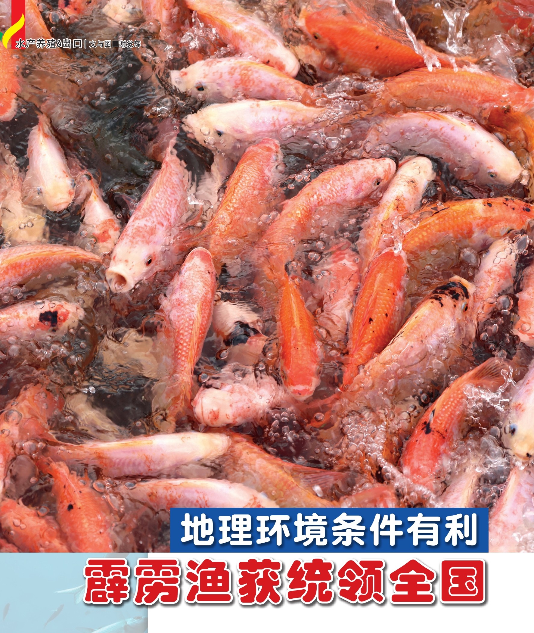 地理环境条件有利  霹雳渔获统领全国 - 农牧世界