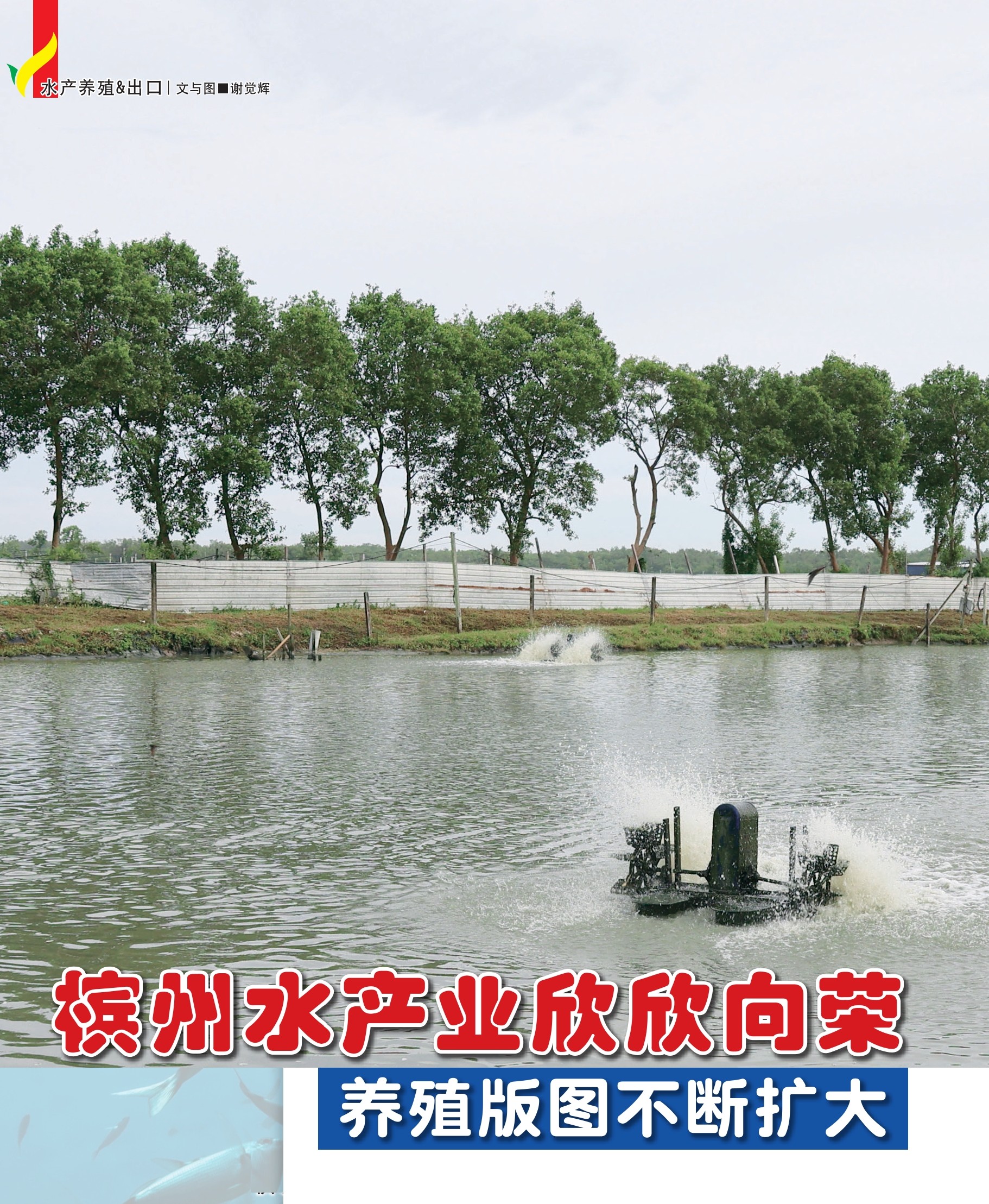 槟州水产业欣欣向荣  养殖版图不断扩大 - 农牧世界