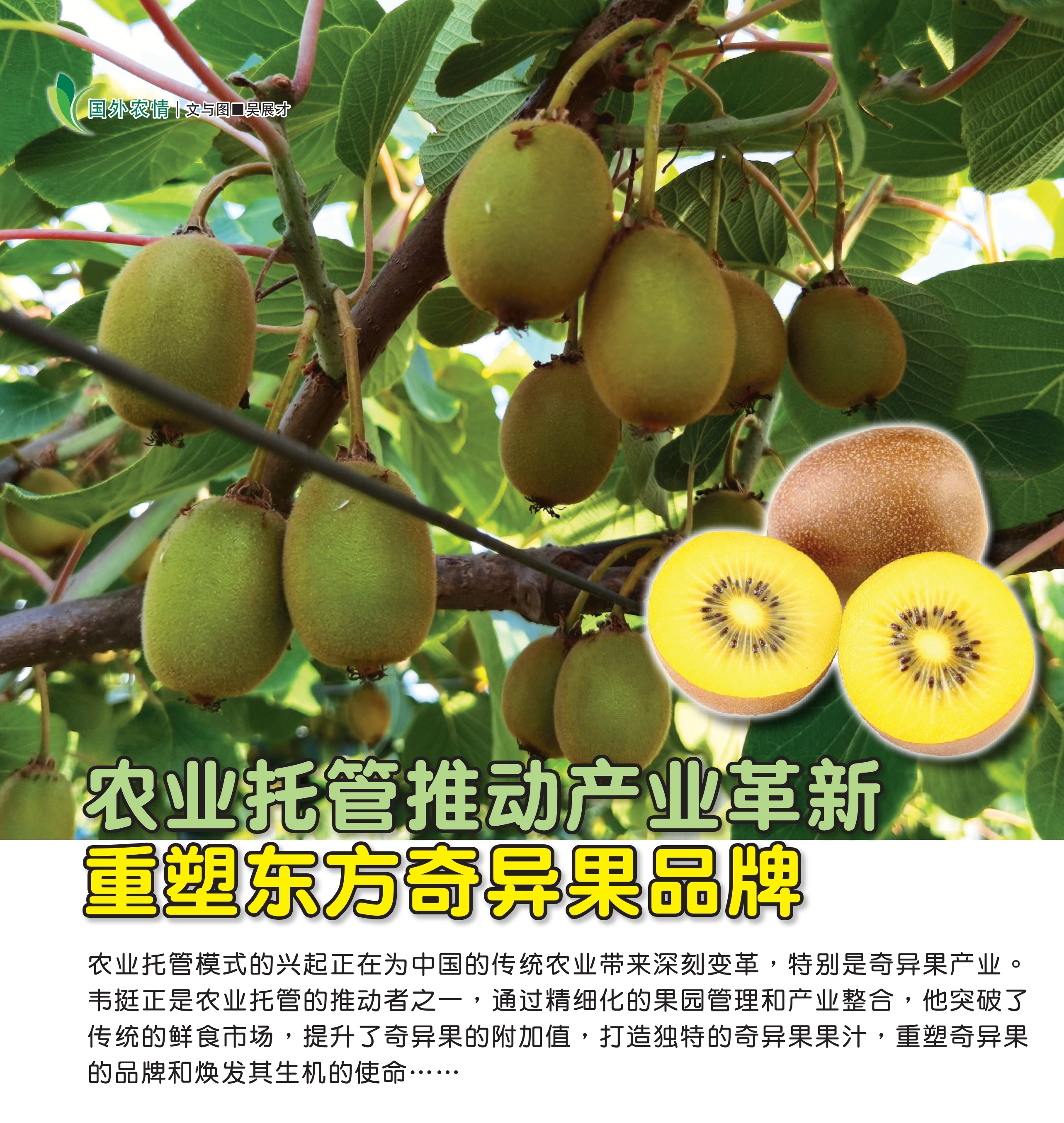 农业托管推动产业革新  重塑东方奇异果品牌 - 农牧世界