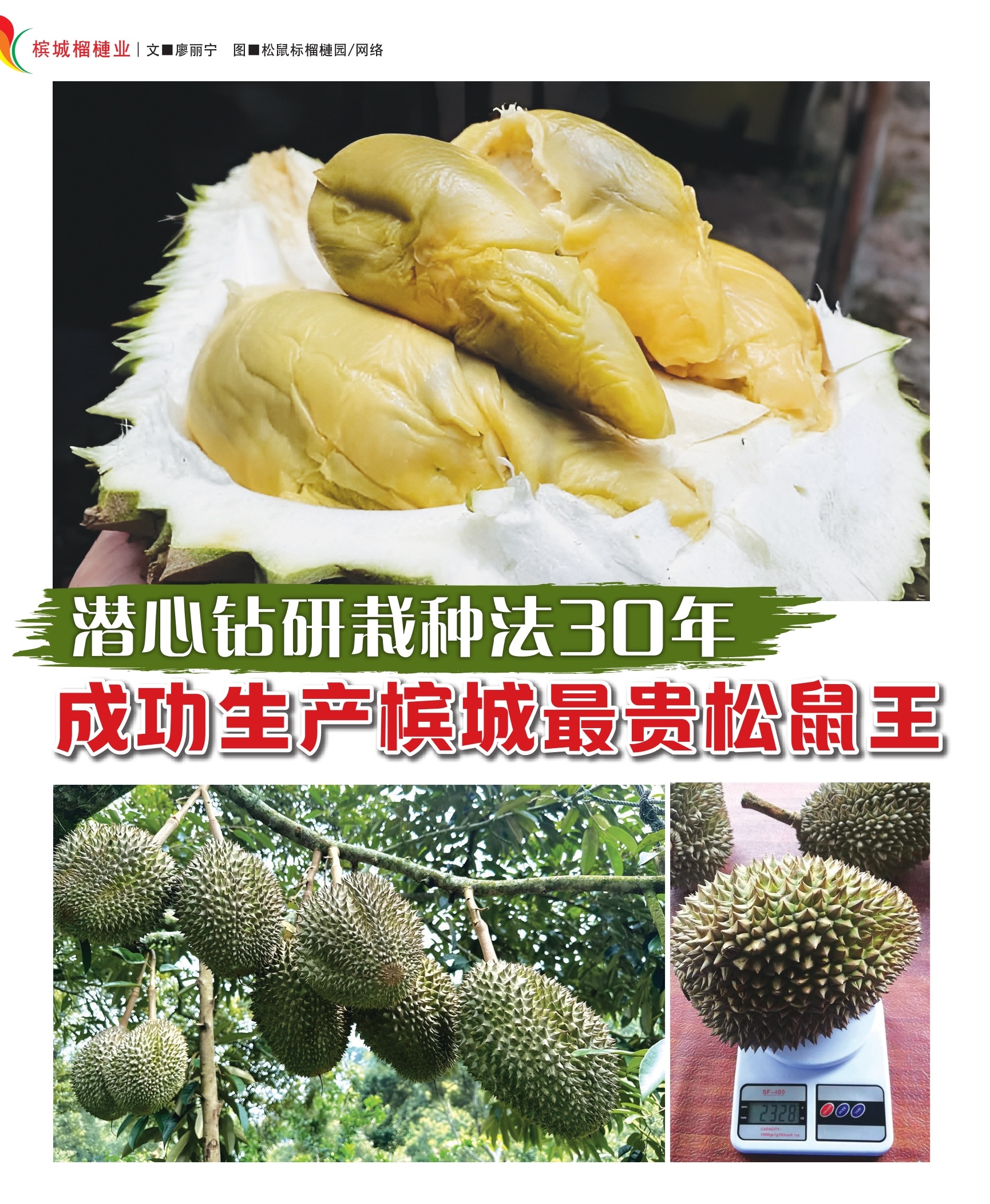 农友自学技术坚持30年  成功生产槟城最贵松鼠王 - 农牧世界