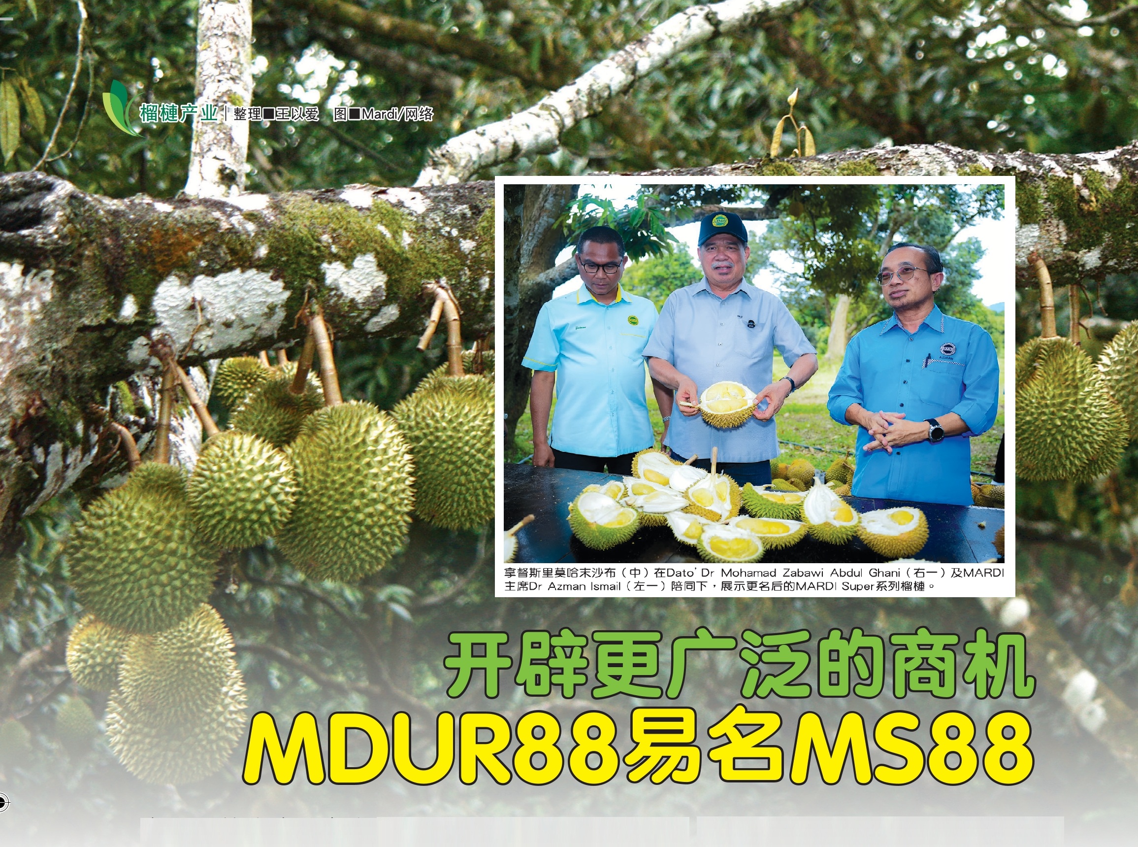开辟更广泛的商机  MDUR88易名MS88 - 农牧世界
