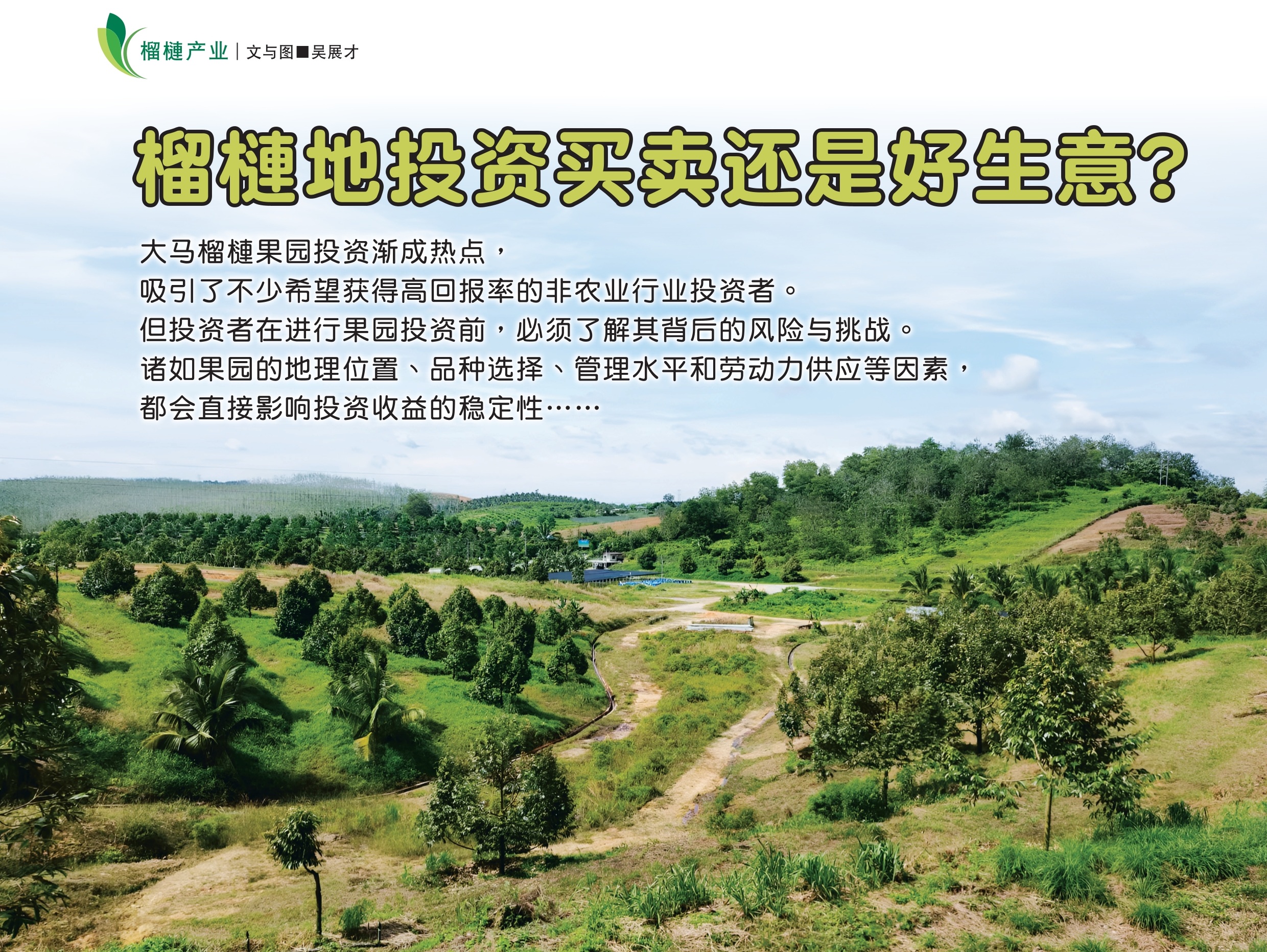 榴梿产业  榴梿地投资买卖还是好生意? - 农牧世界