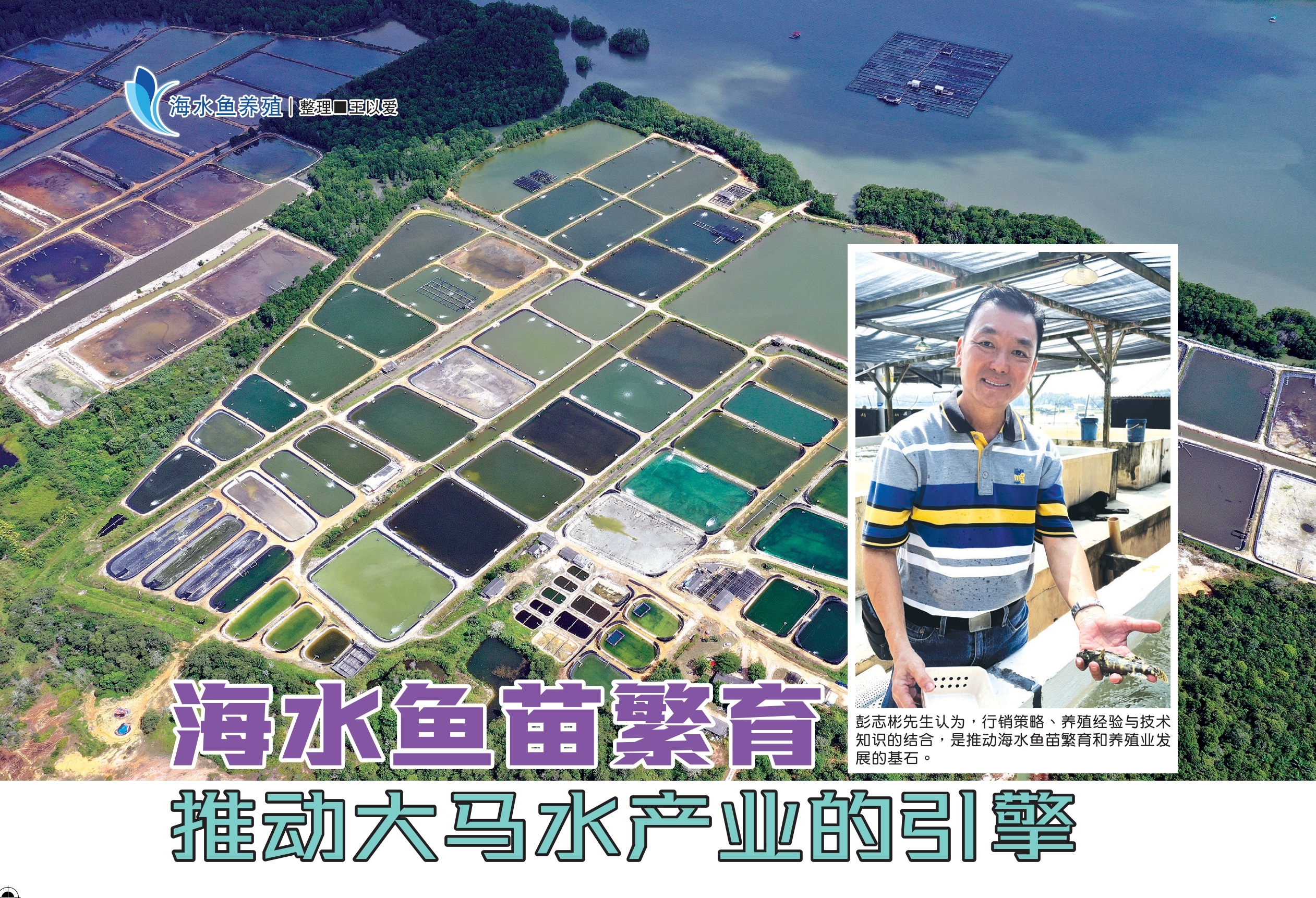 海水鱼苗繁育  推动大马水产业的引擎 - 农牧世界