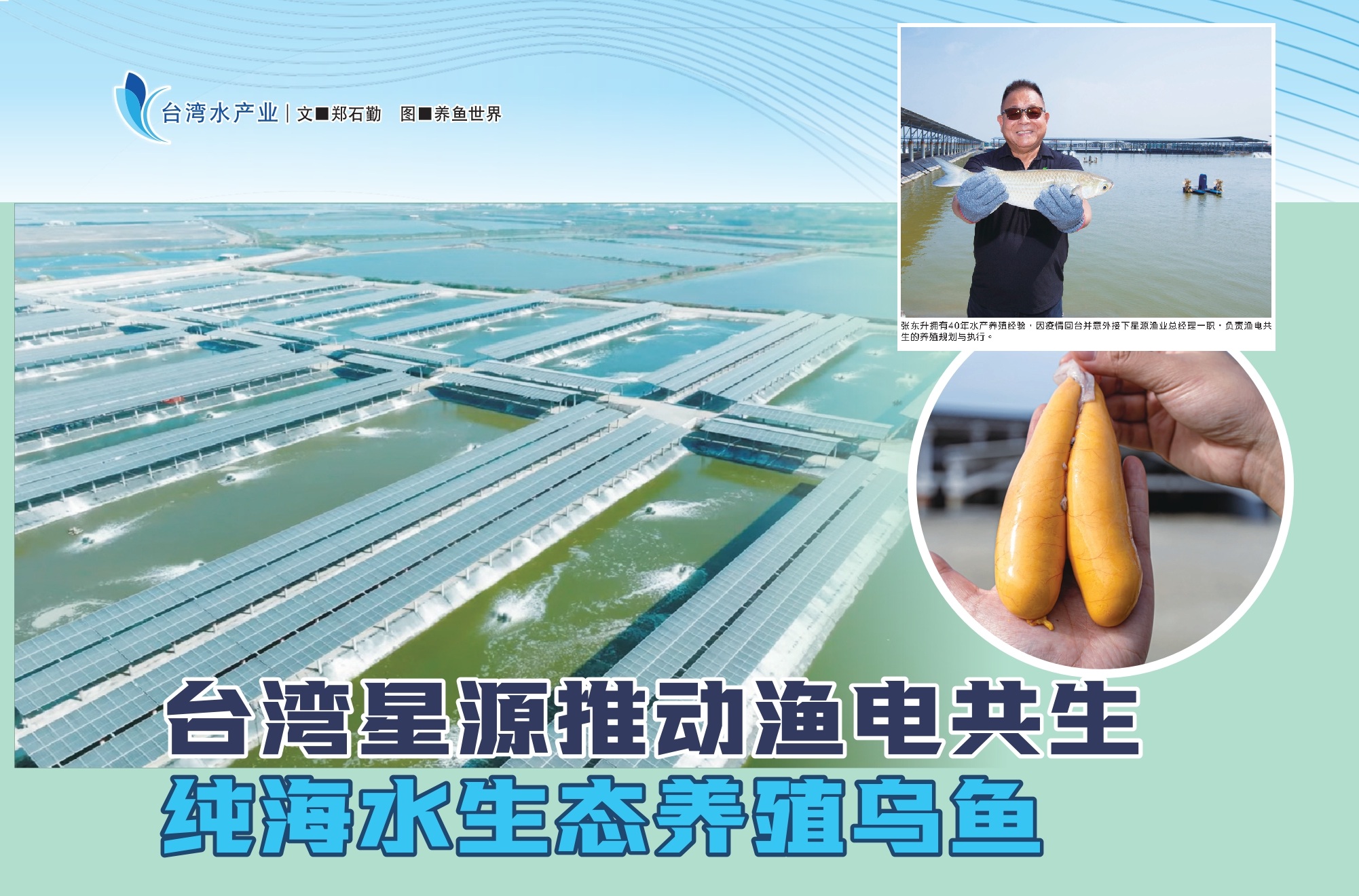 台湾星源推动渔电共生  纯海水生态养殖乌鱼 - 农牧世界