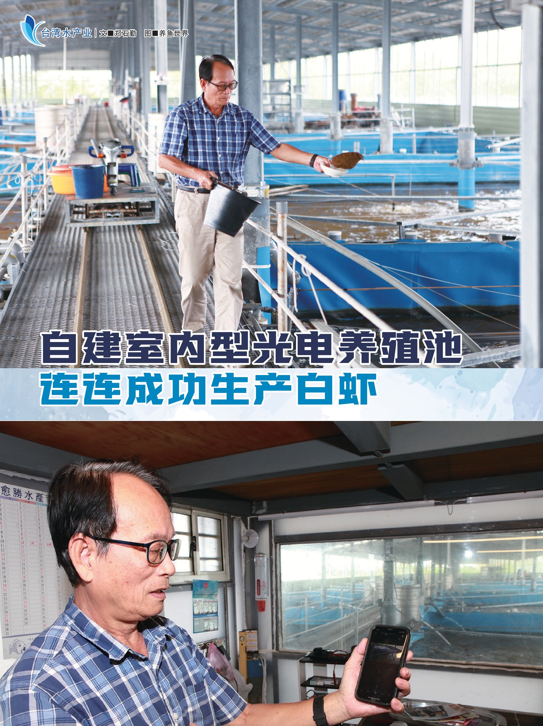 自建室内型光电养殖池  连连成功生产白虾 - 农牧世界