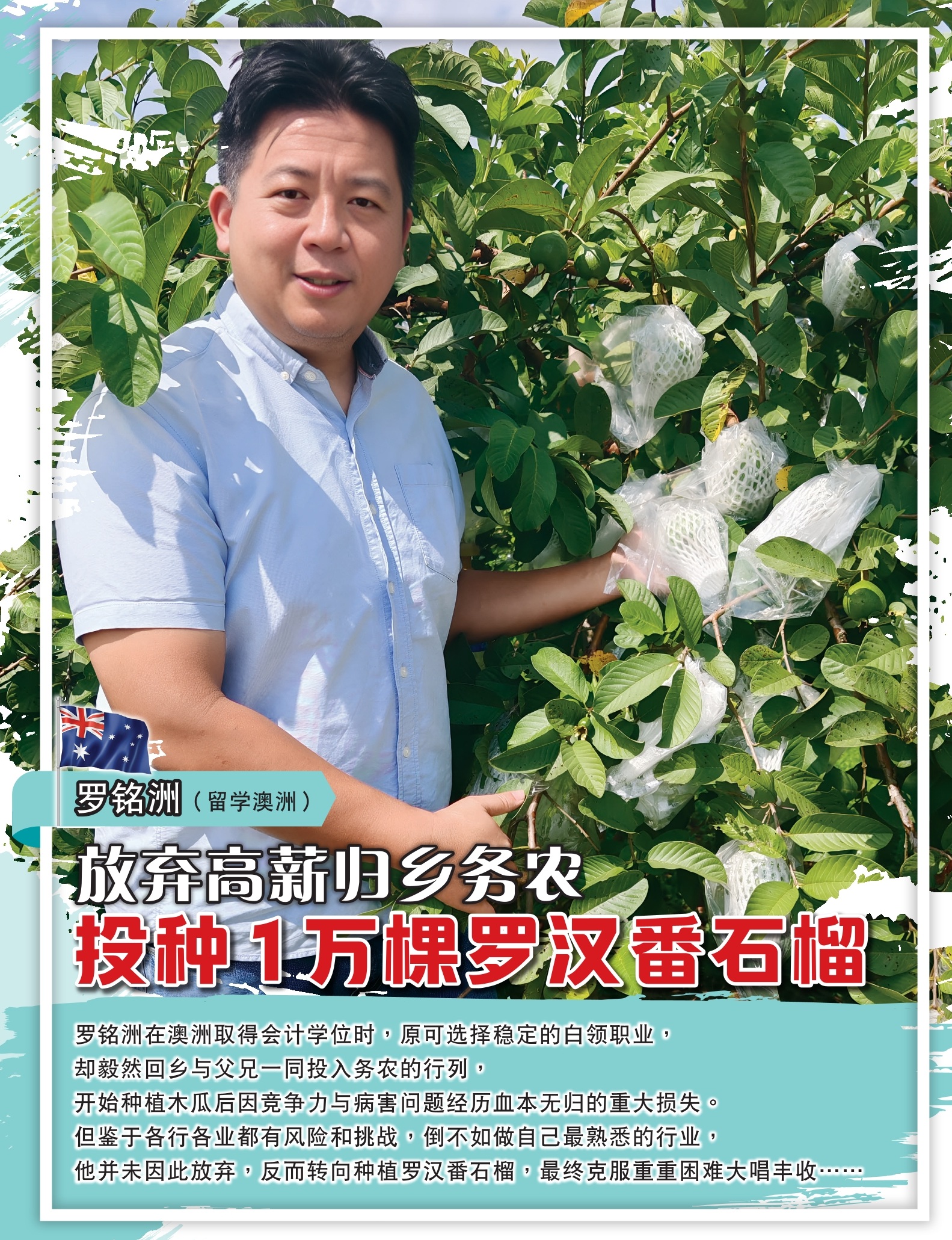 放弃高薪归乡务农  投种１万棵罗汉番石榴 - 农牧世界