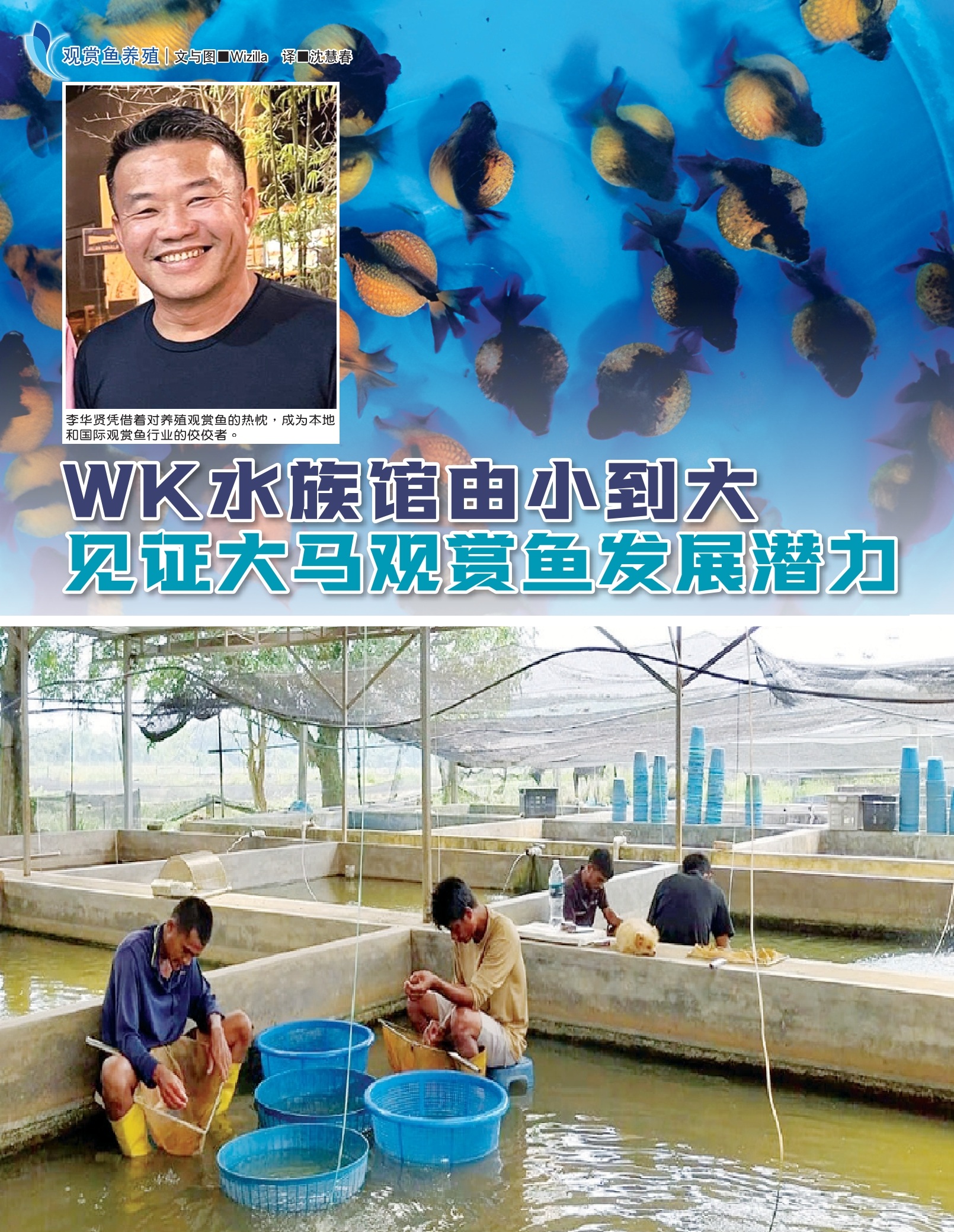 WK水族馆由小到大  见证大马观赏鱼发展潜力 - 农牧世界