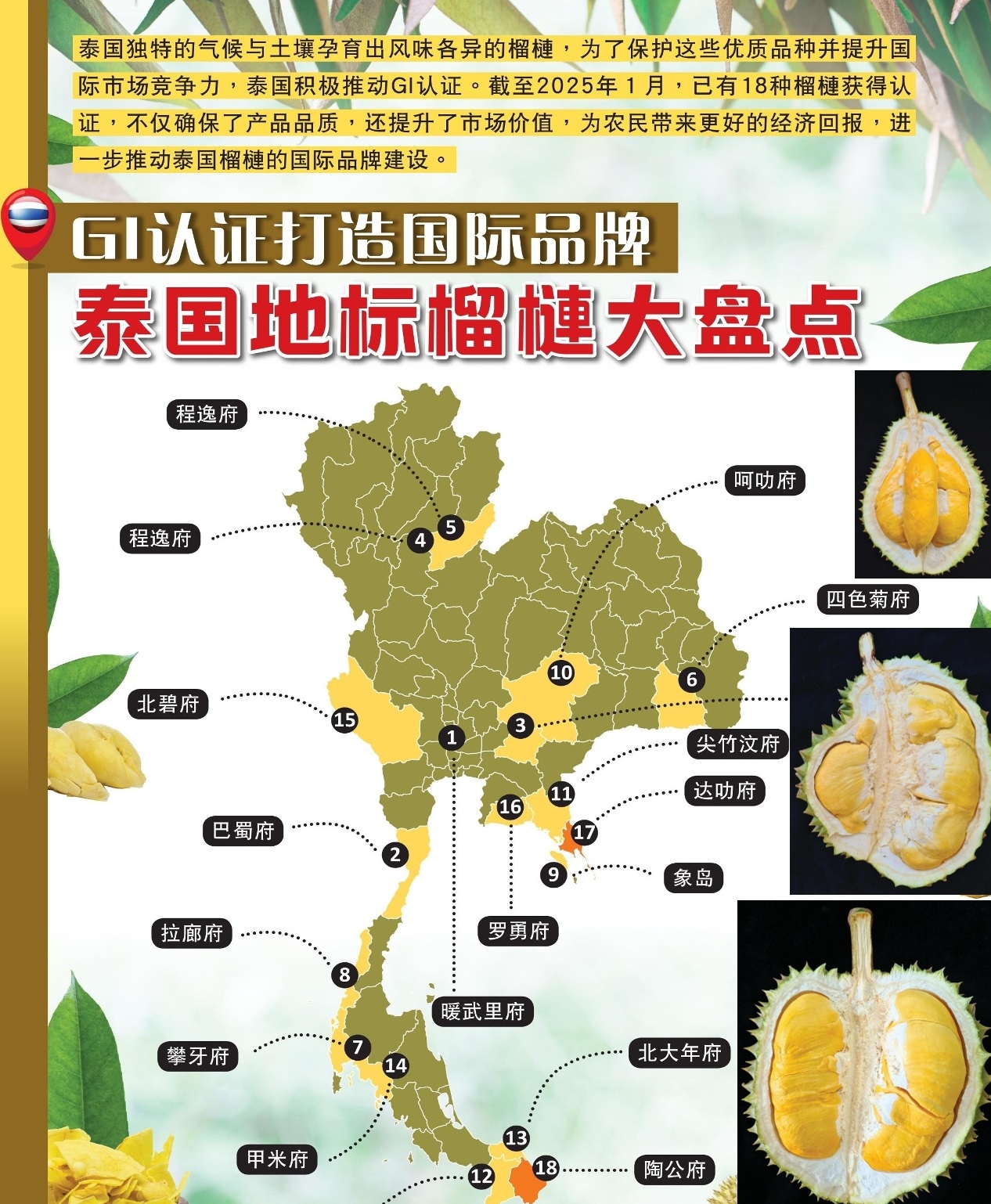 GI认证打造国际品牌  泰国地标榴梿大盘点 - 农牧世界