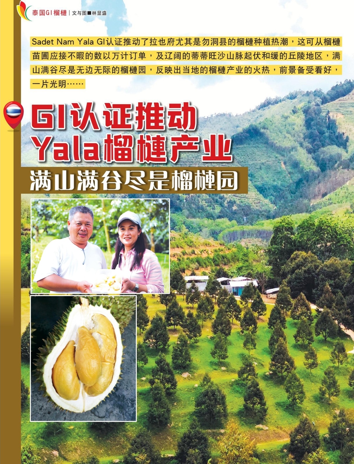 GI认证推动Yala榴梿产业  满山满谷尽是榴梿园 - 农牧世界