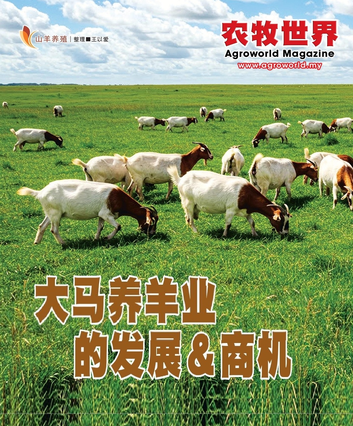 大马养羊业的发展＆商机 - 农牧世界