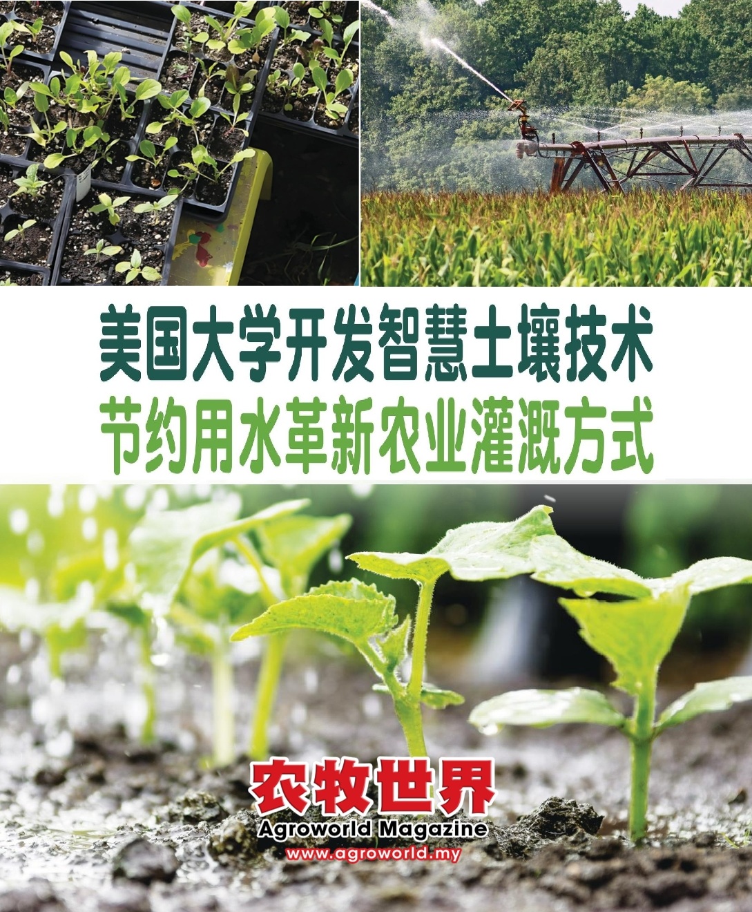 美国大学开发智慧土壤技术  节约用水革新农业灌溉方式 - 农牧世界